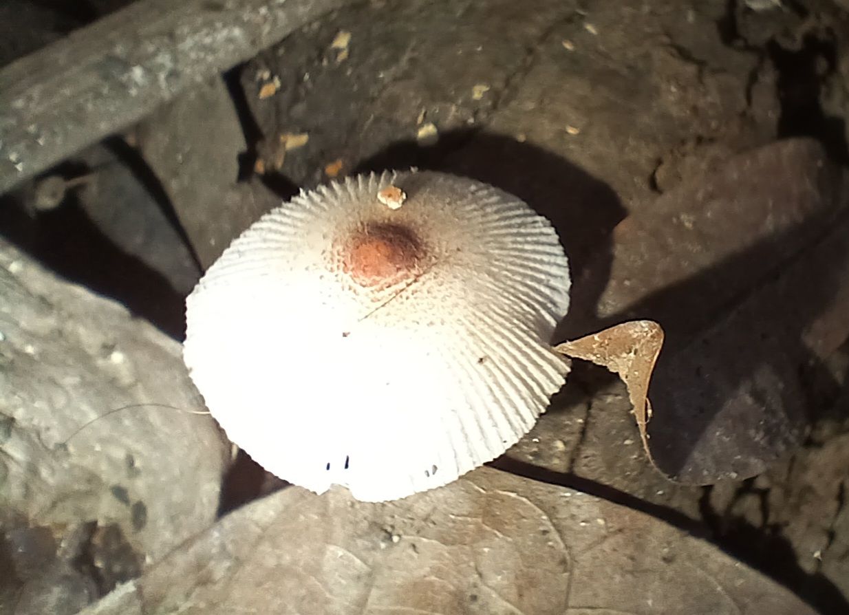 20250920_082202.jpg