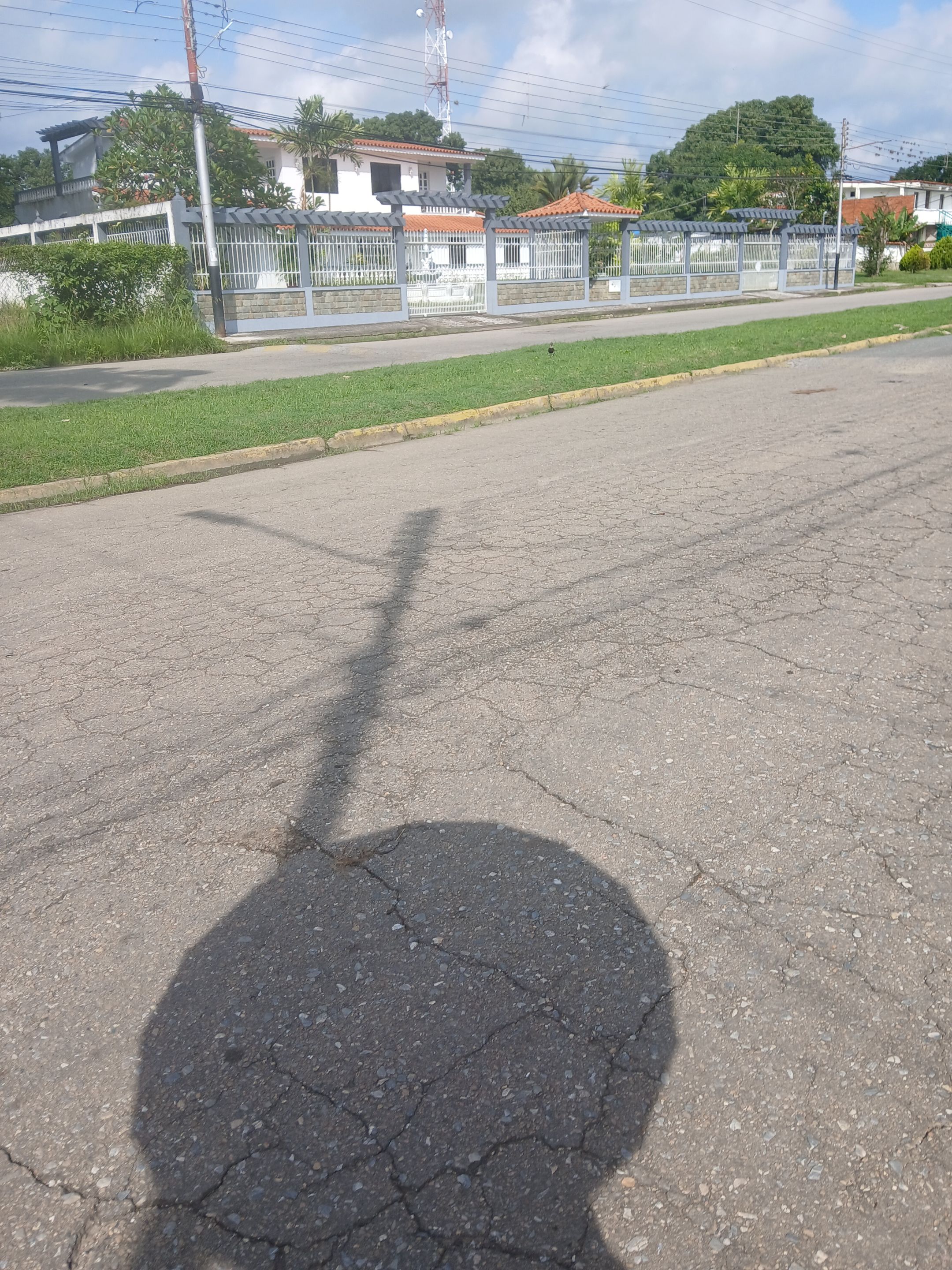 20250801_091926.jpg