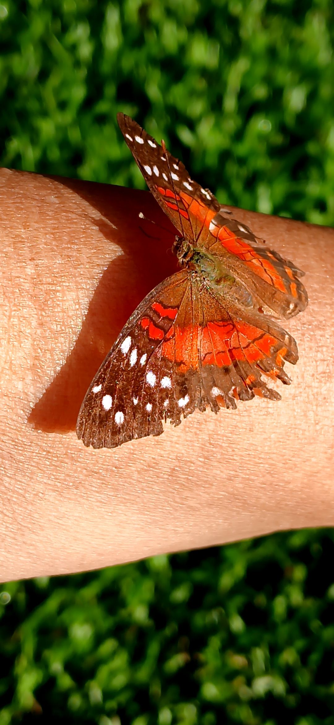 20250909_075622.jpg
