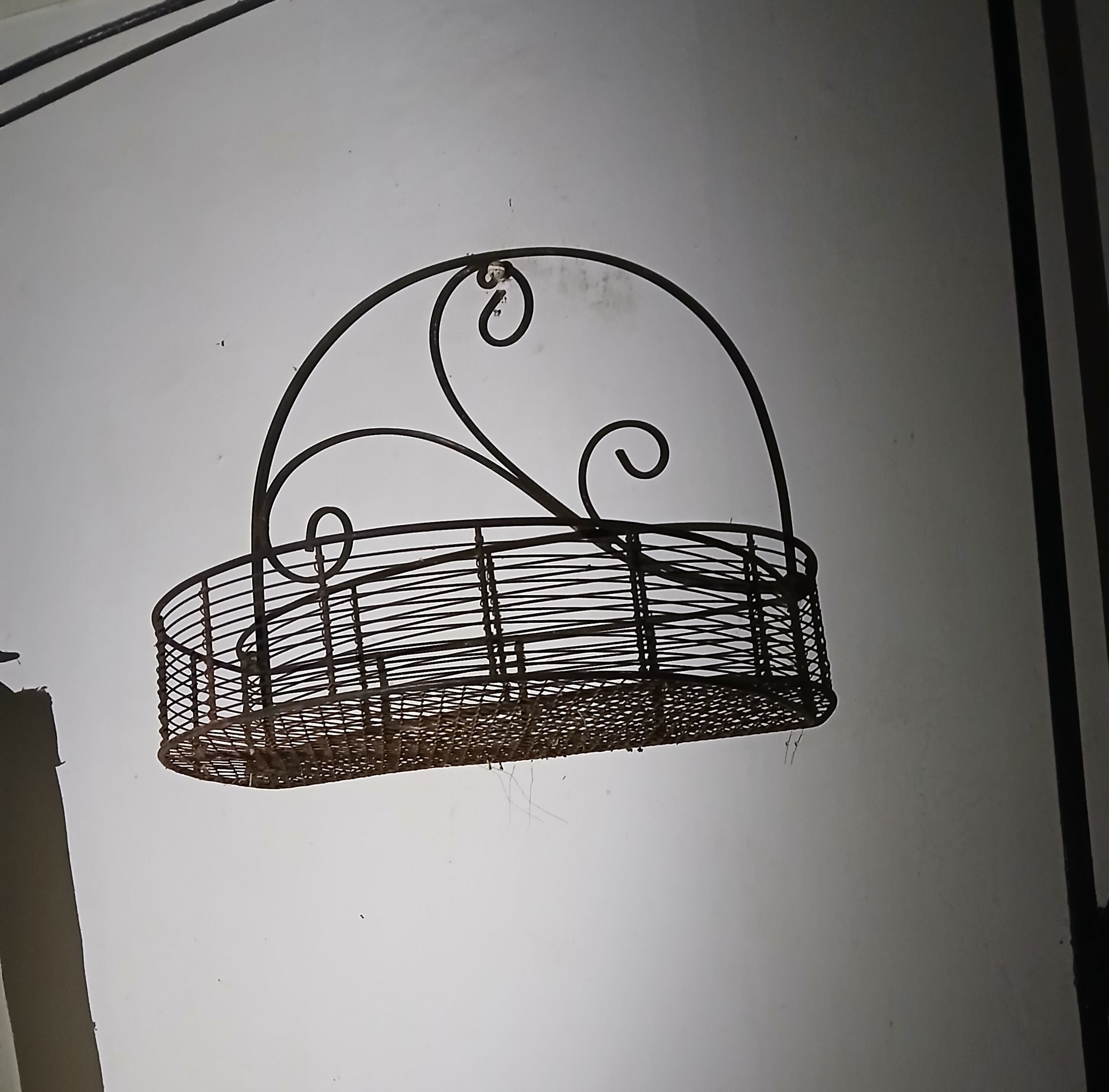 20250725_054453.jpg