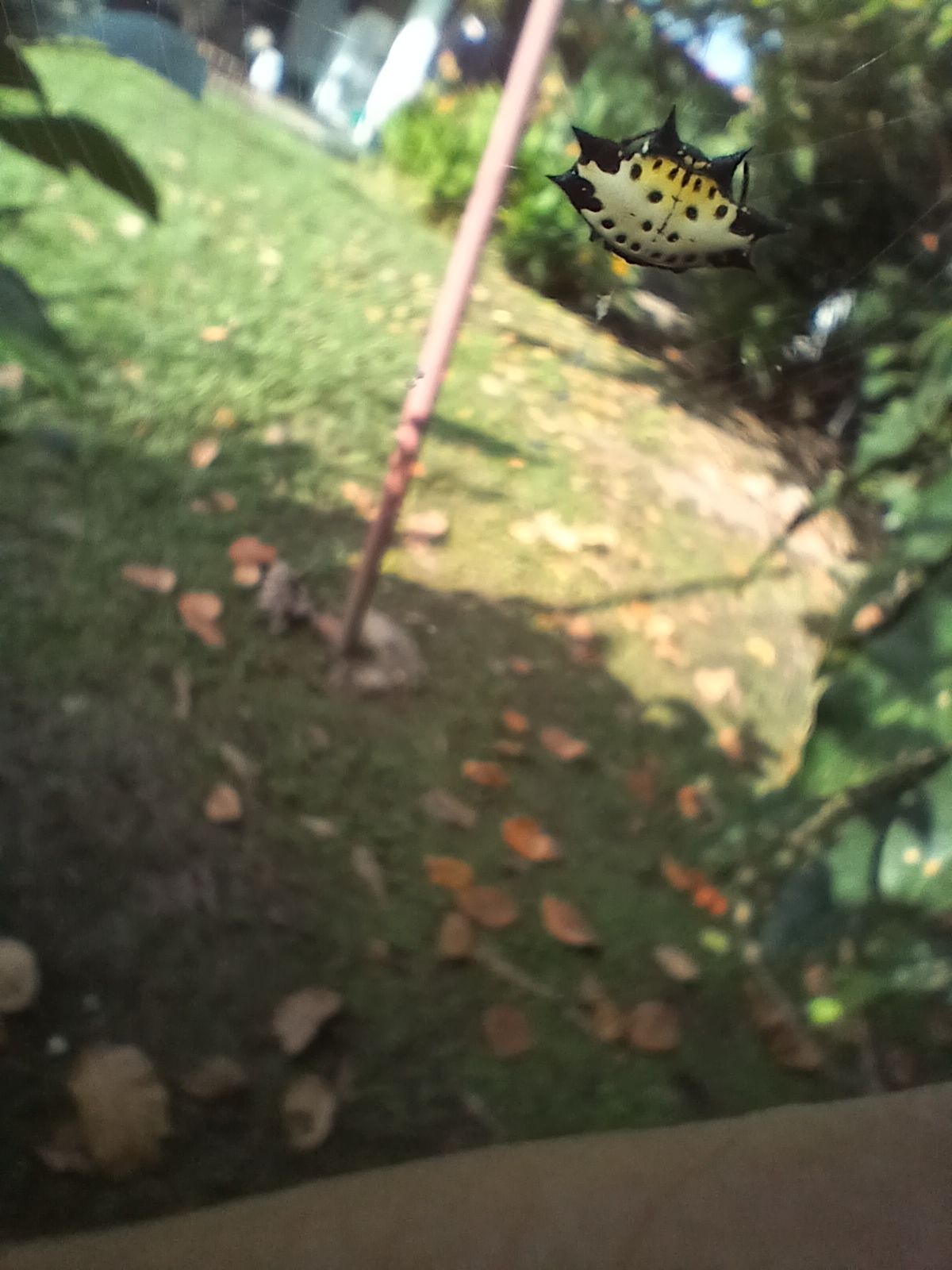 20250920_081818.jpg