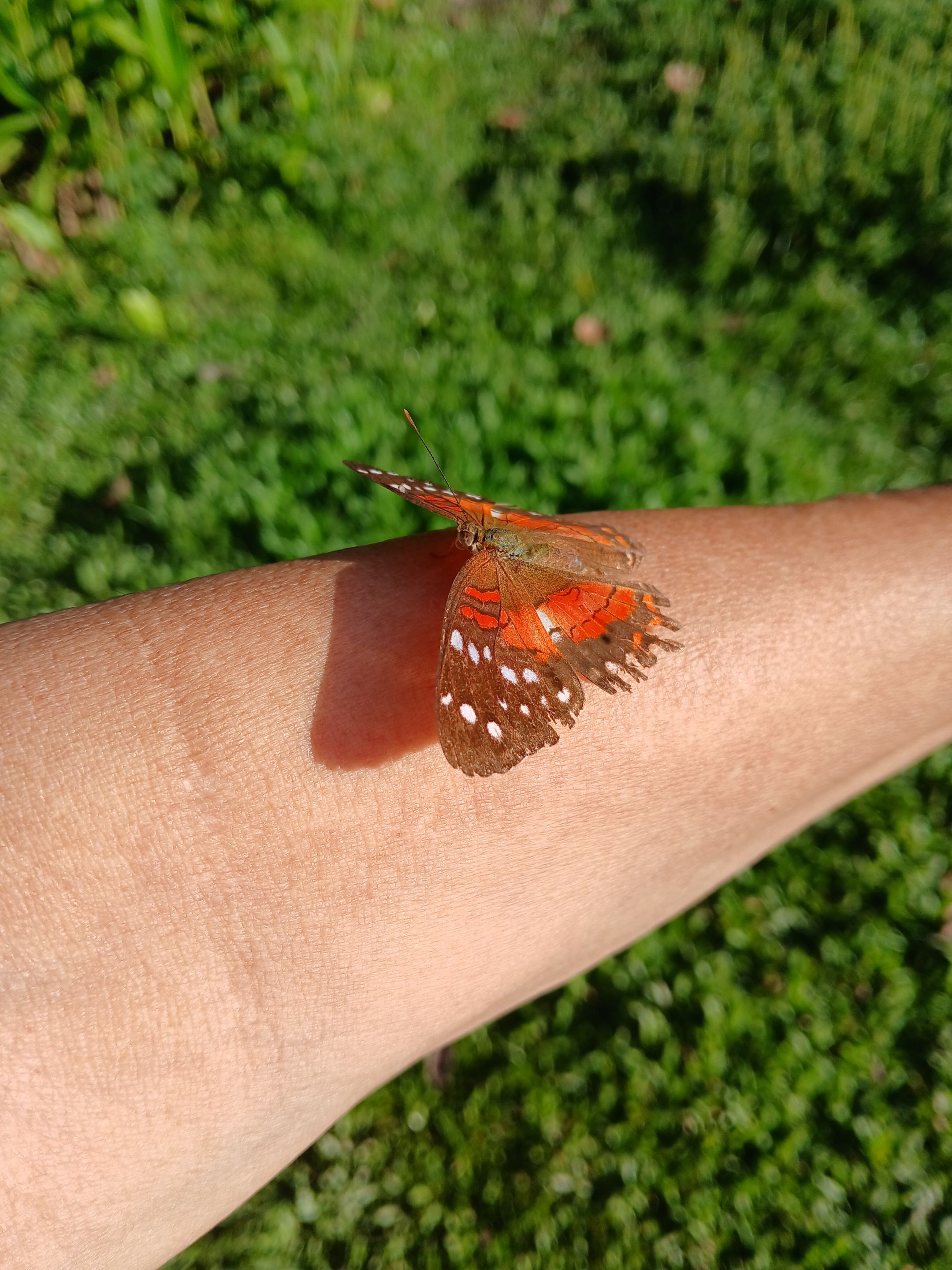 20250909_0  75518.jpg