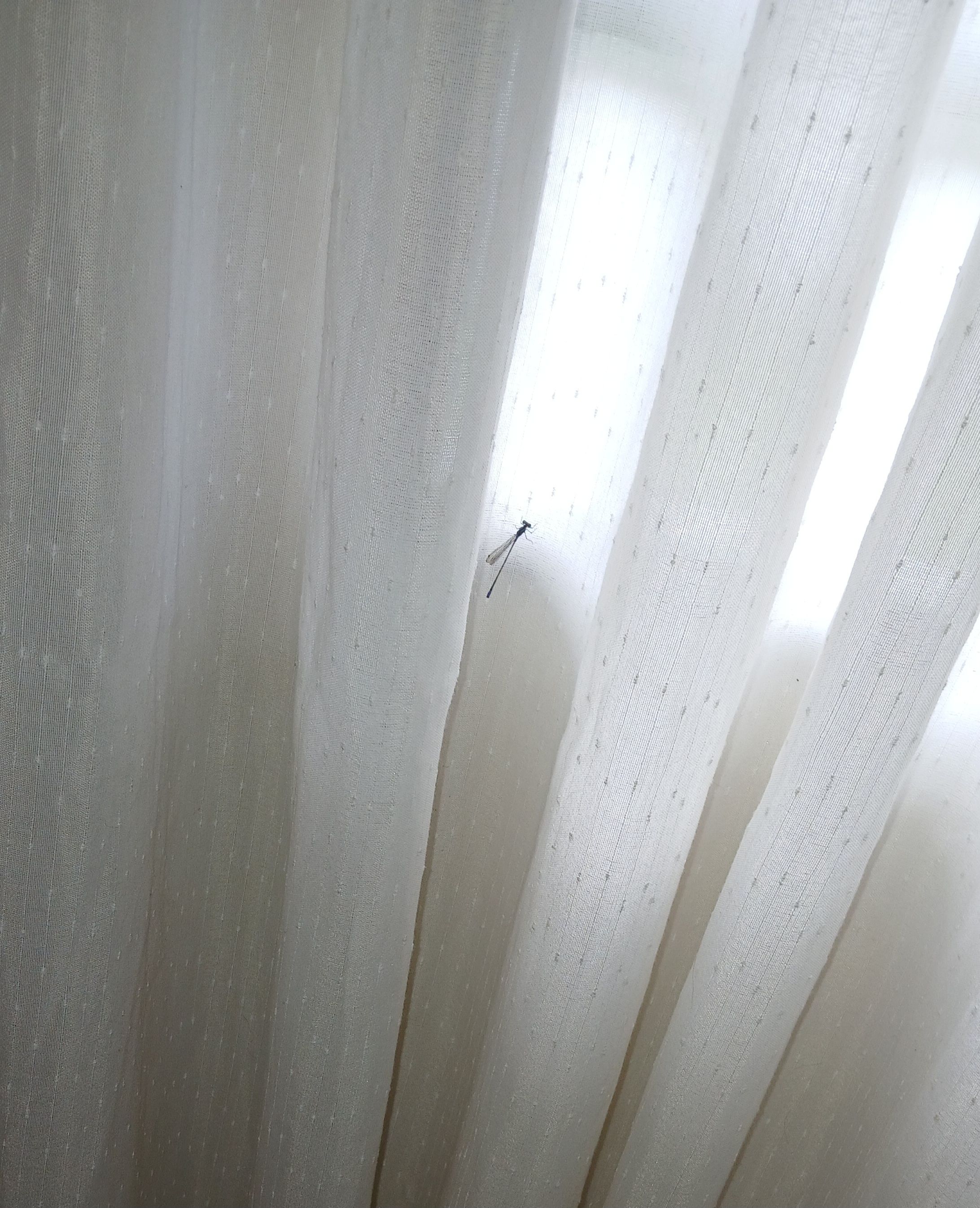 20250902_115603.jpg