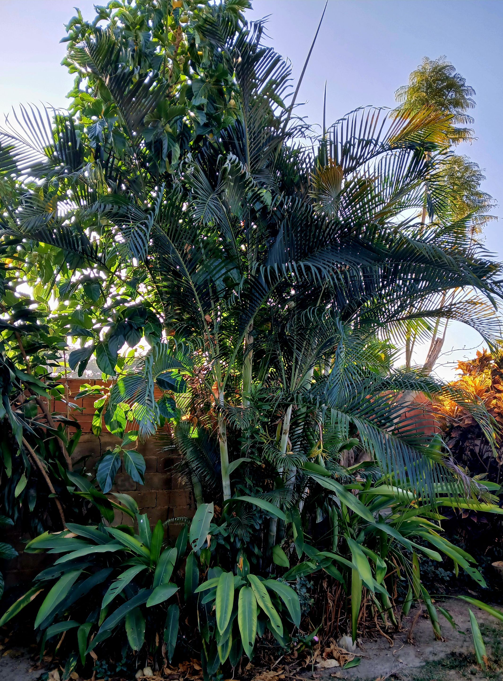 20250213_082131.jpg