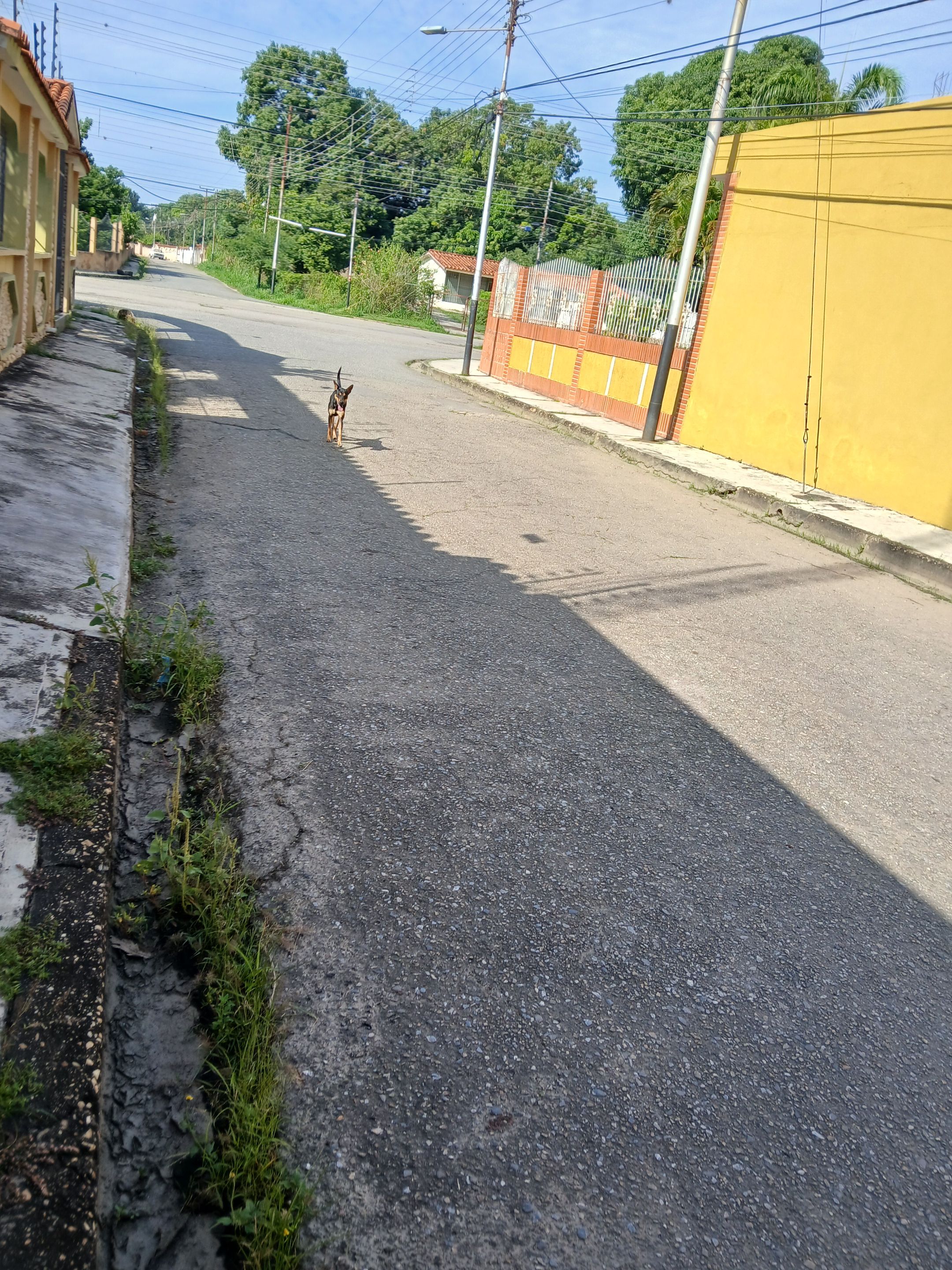 20250829_090600.jpg