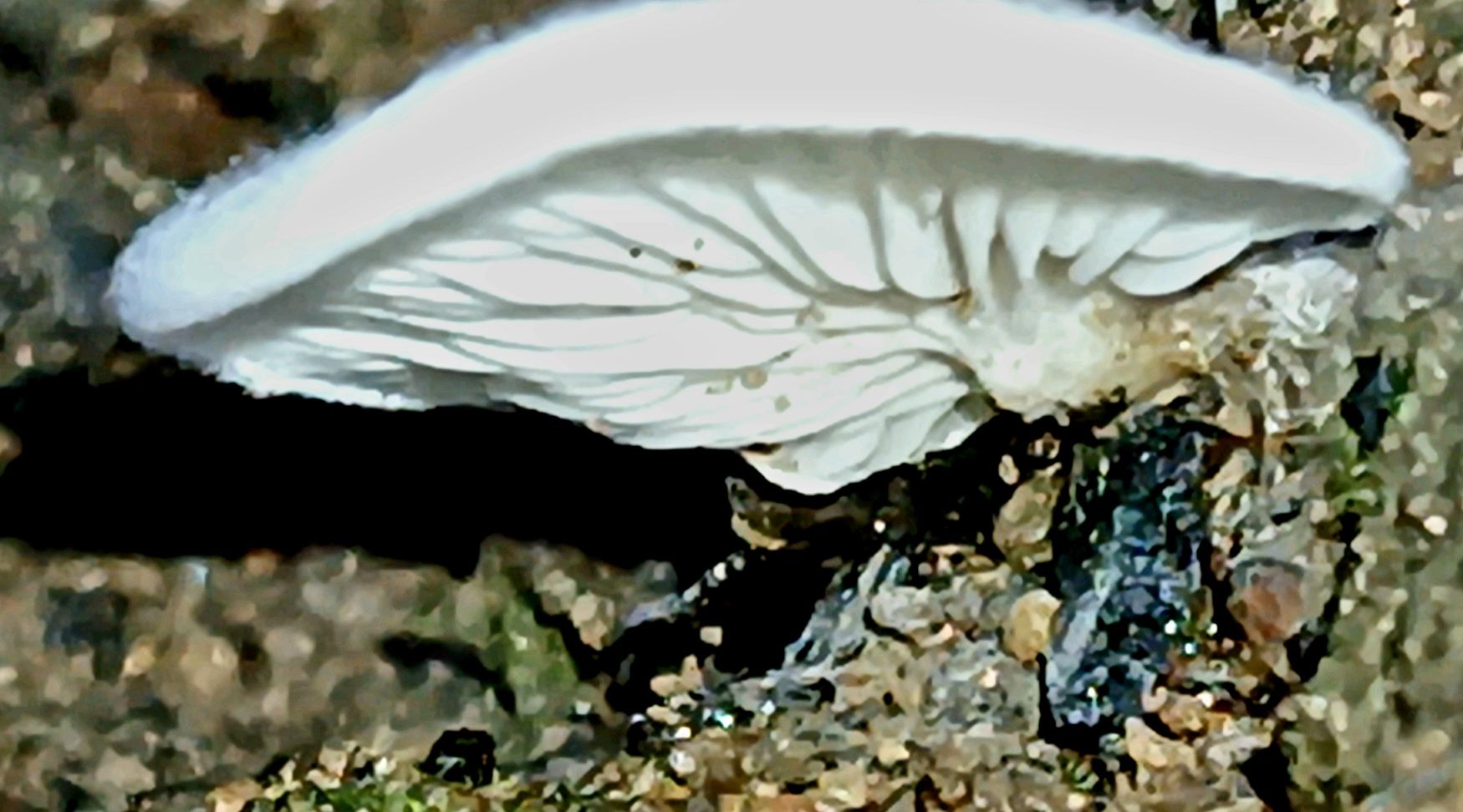 20250424_082355.jpg