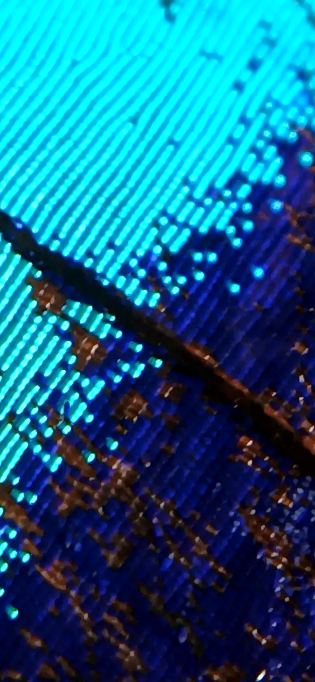 20250809_092926.jpg