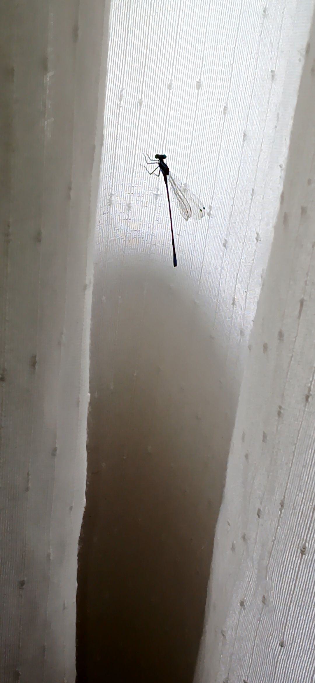 20250902_115710.jpg