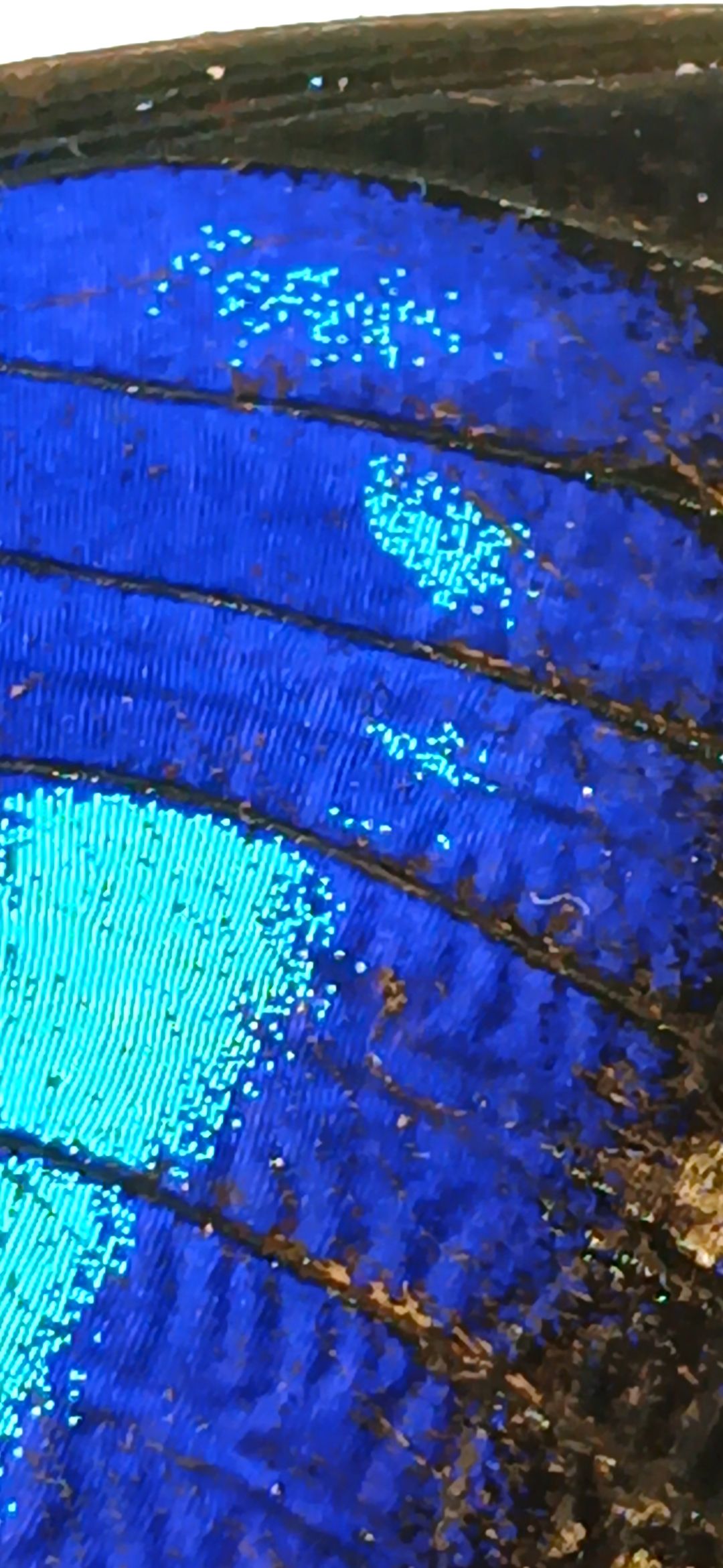 20250809_092525.jpg