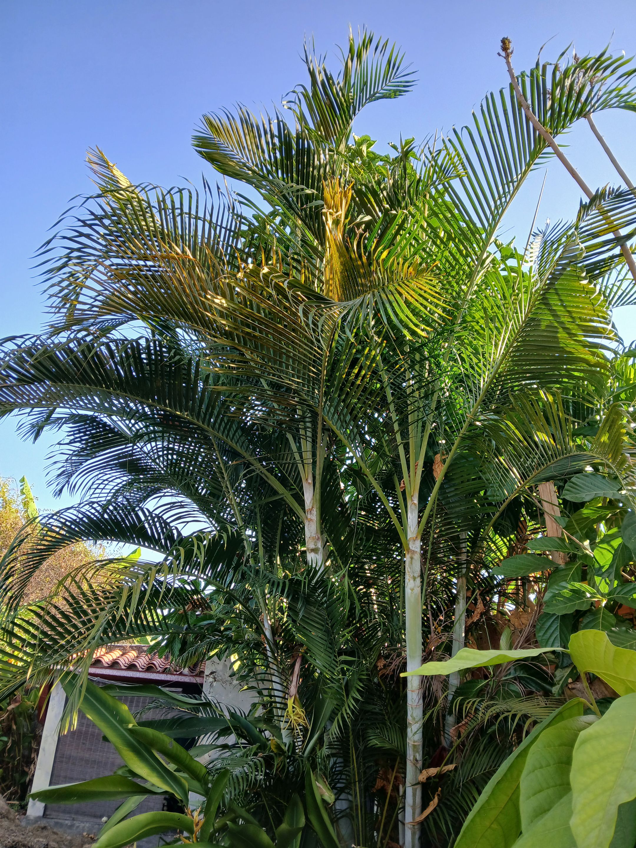 20250213_082239.jpg