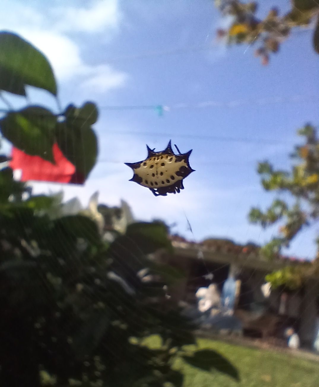 20250920_081505.jpg