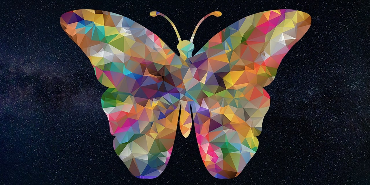 butterfly-3309504_1280.jpg