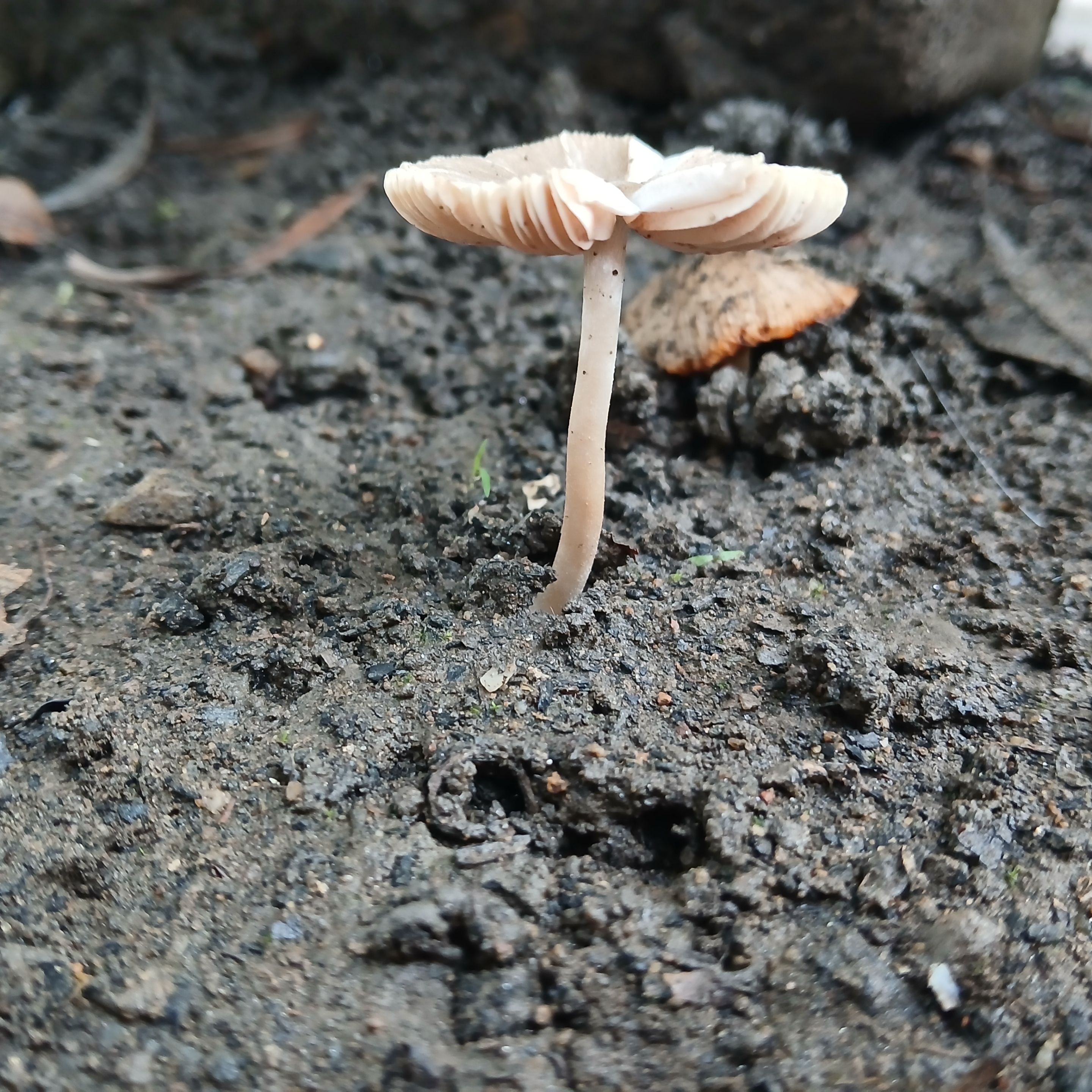20250507_083304.jpg