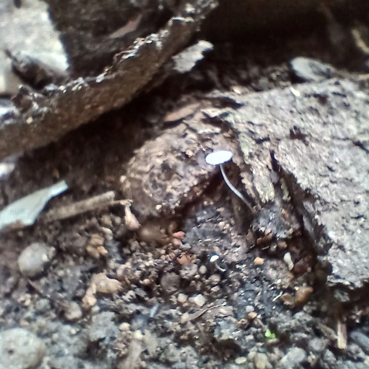 20250507_082906.jpg
