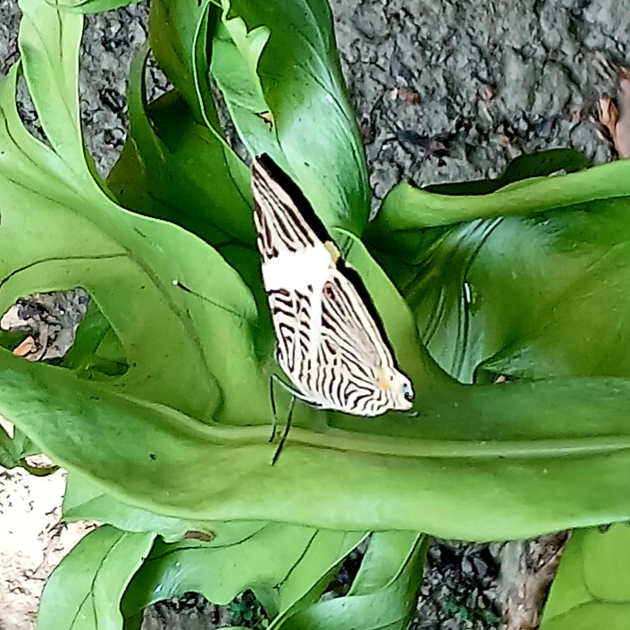 20250210_140607.jpg