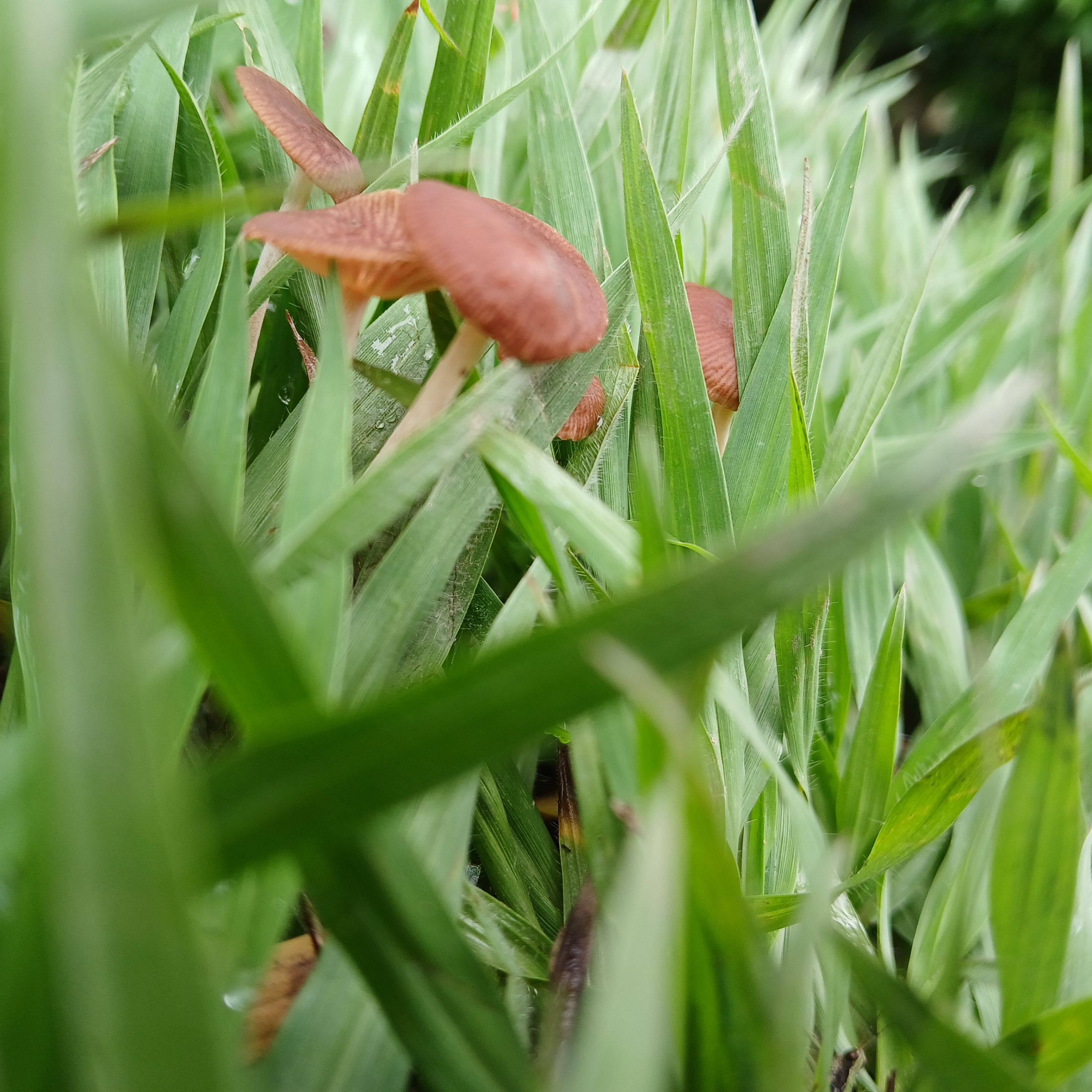 20250507_113041.jpg