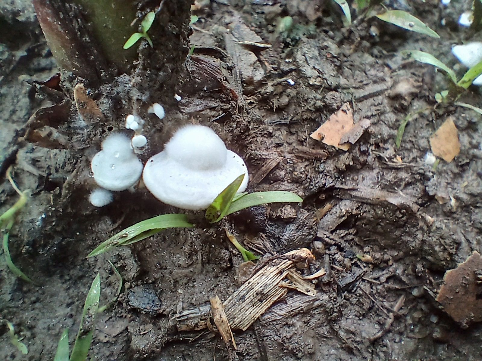 20250424_095619.jpg