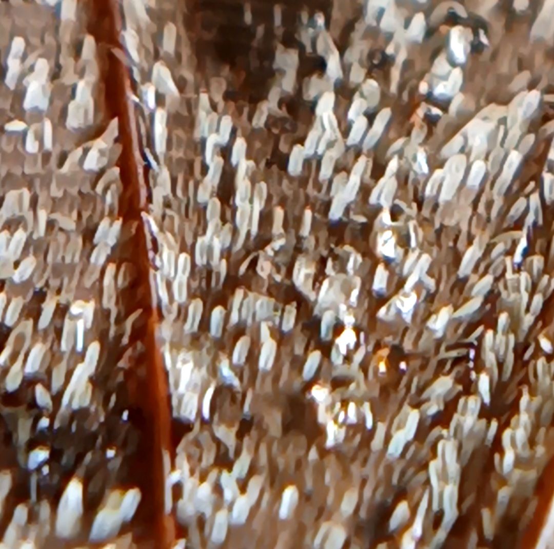 20250809_094436.jpg