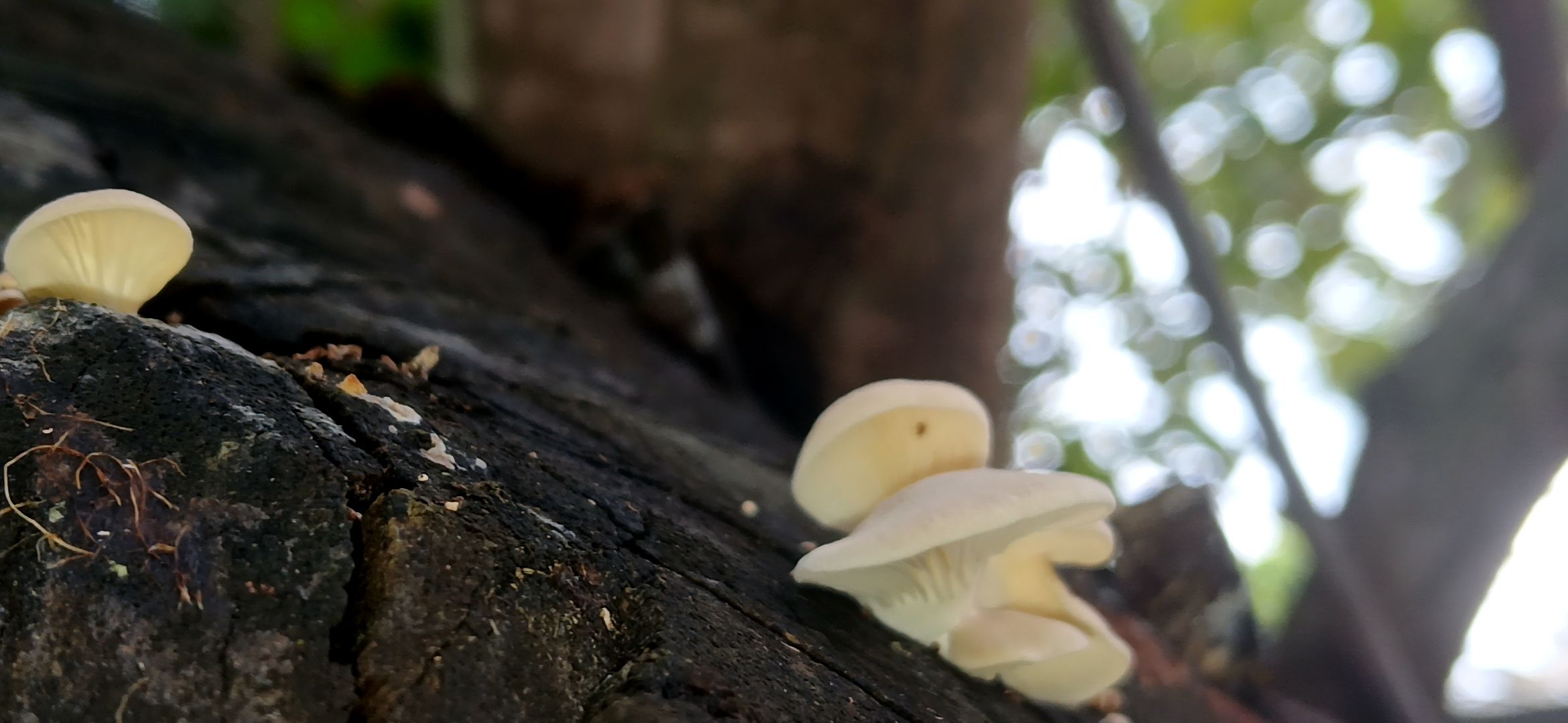 20250801_105403.jpg