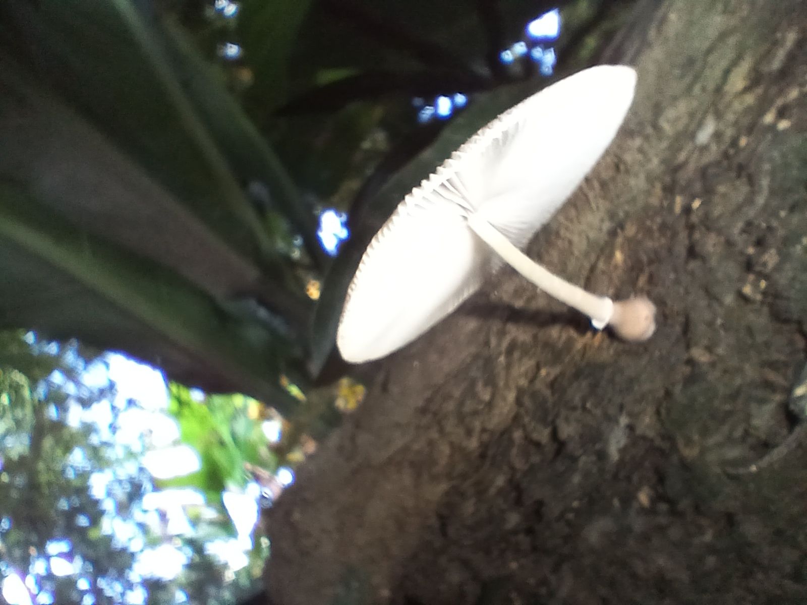 20250920_082225.jpg