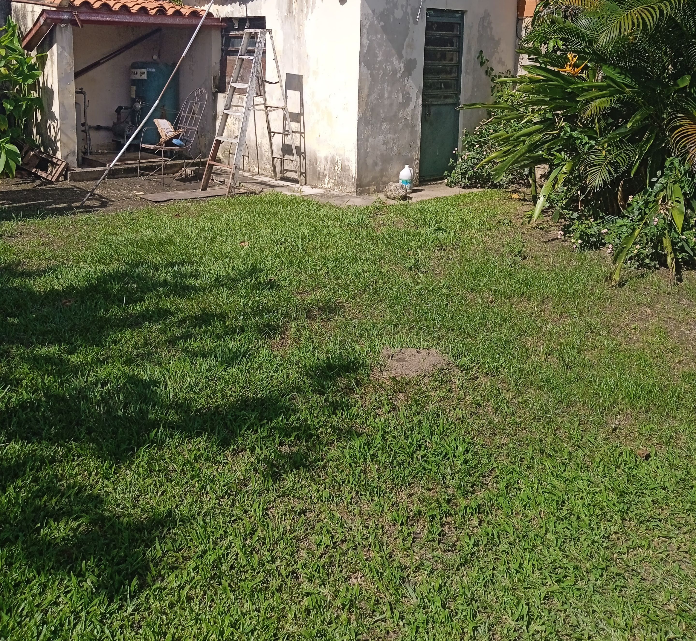 IMG_20220707_153236 (2).jpg