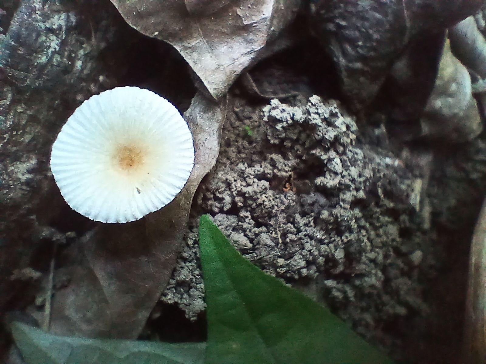 20250927_082231.jpg