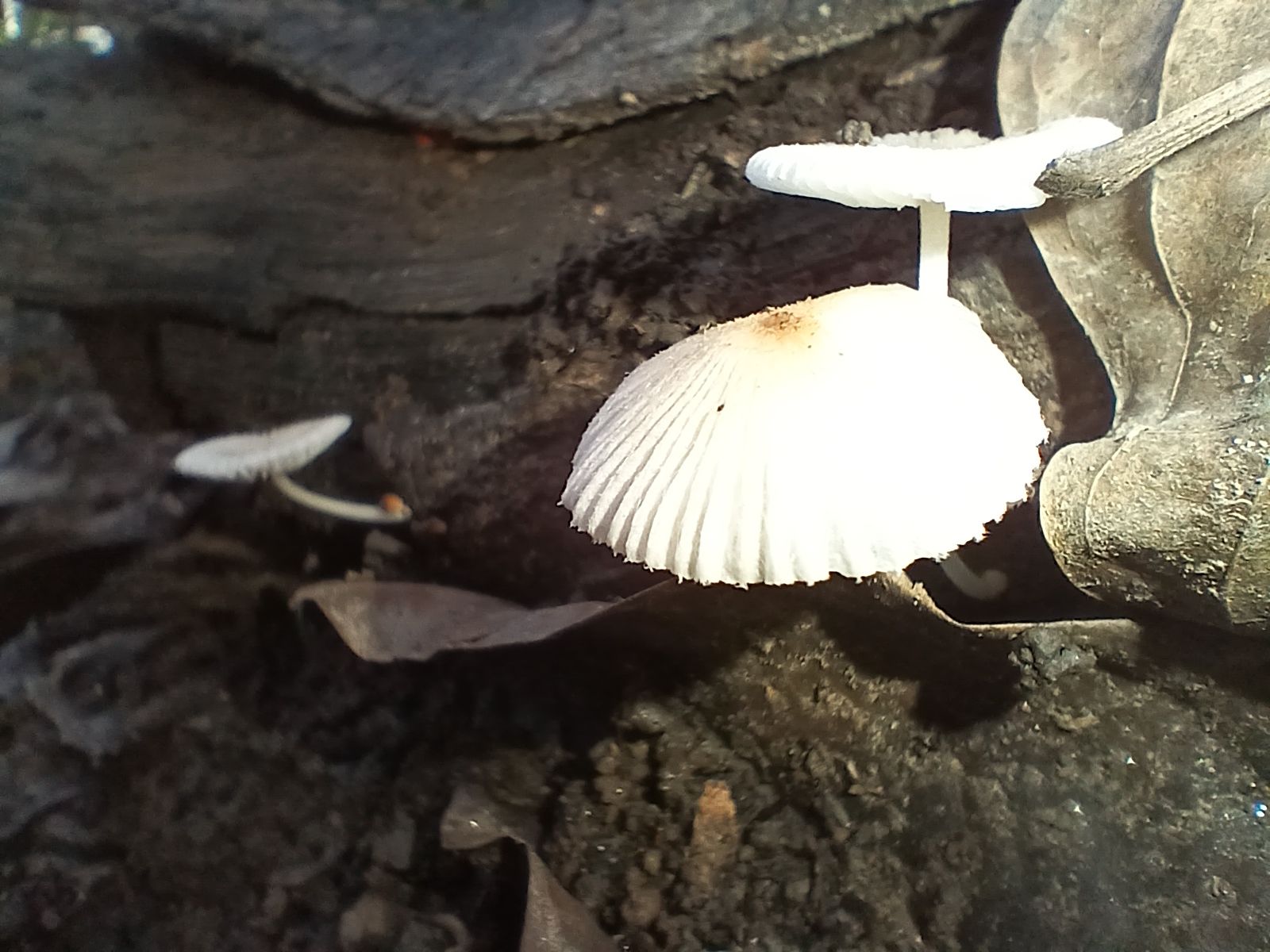 20250920_082501.jpg