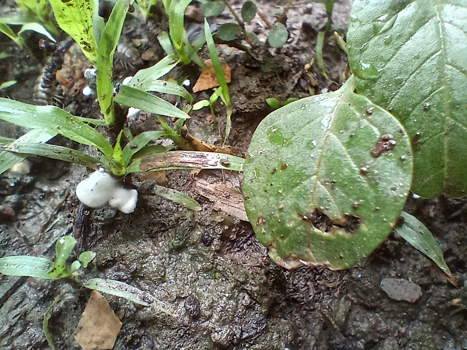 20250424_095523.jpg
