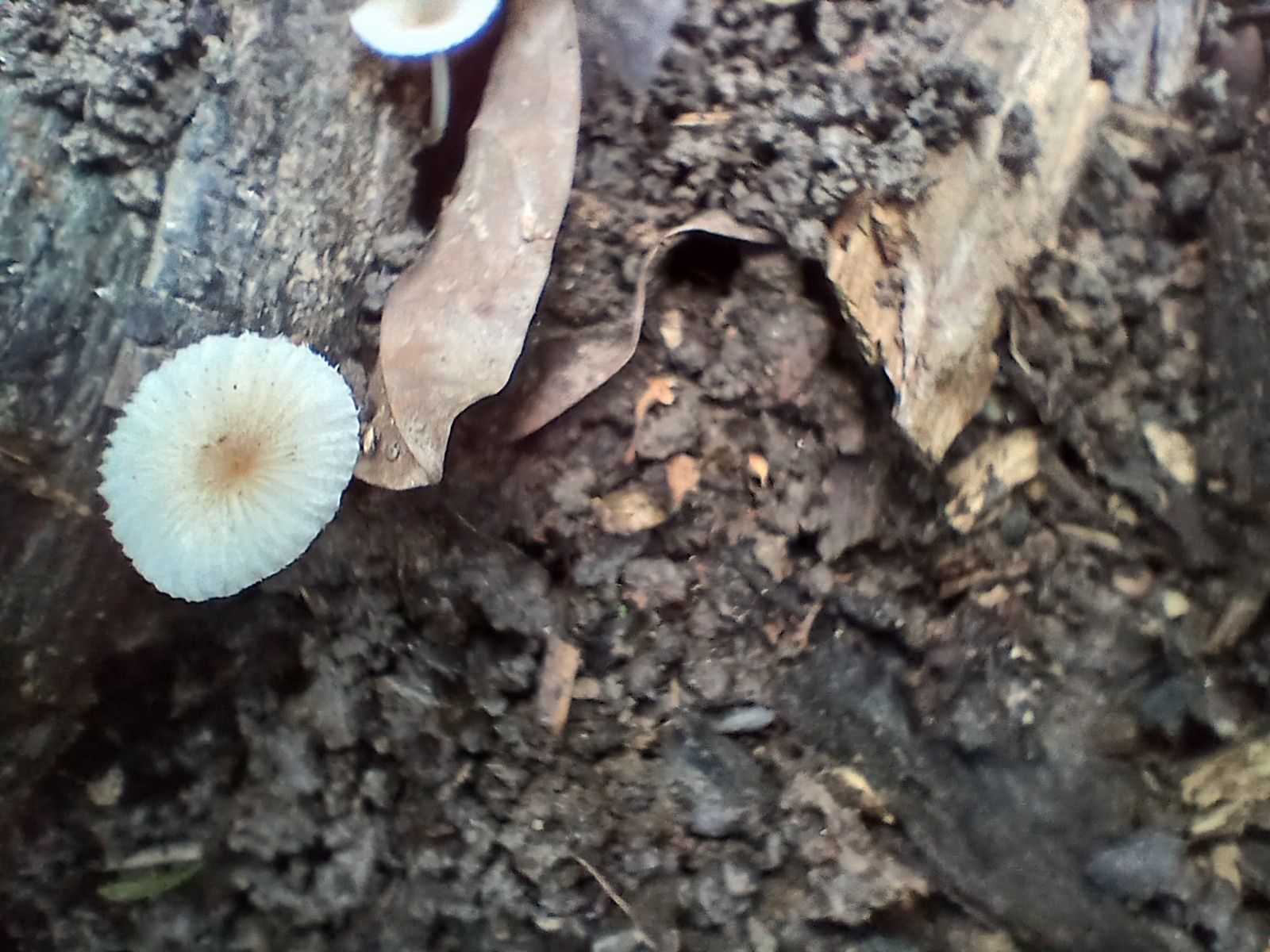 20250920_082441.jpg