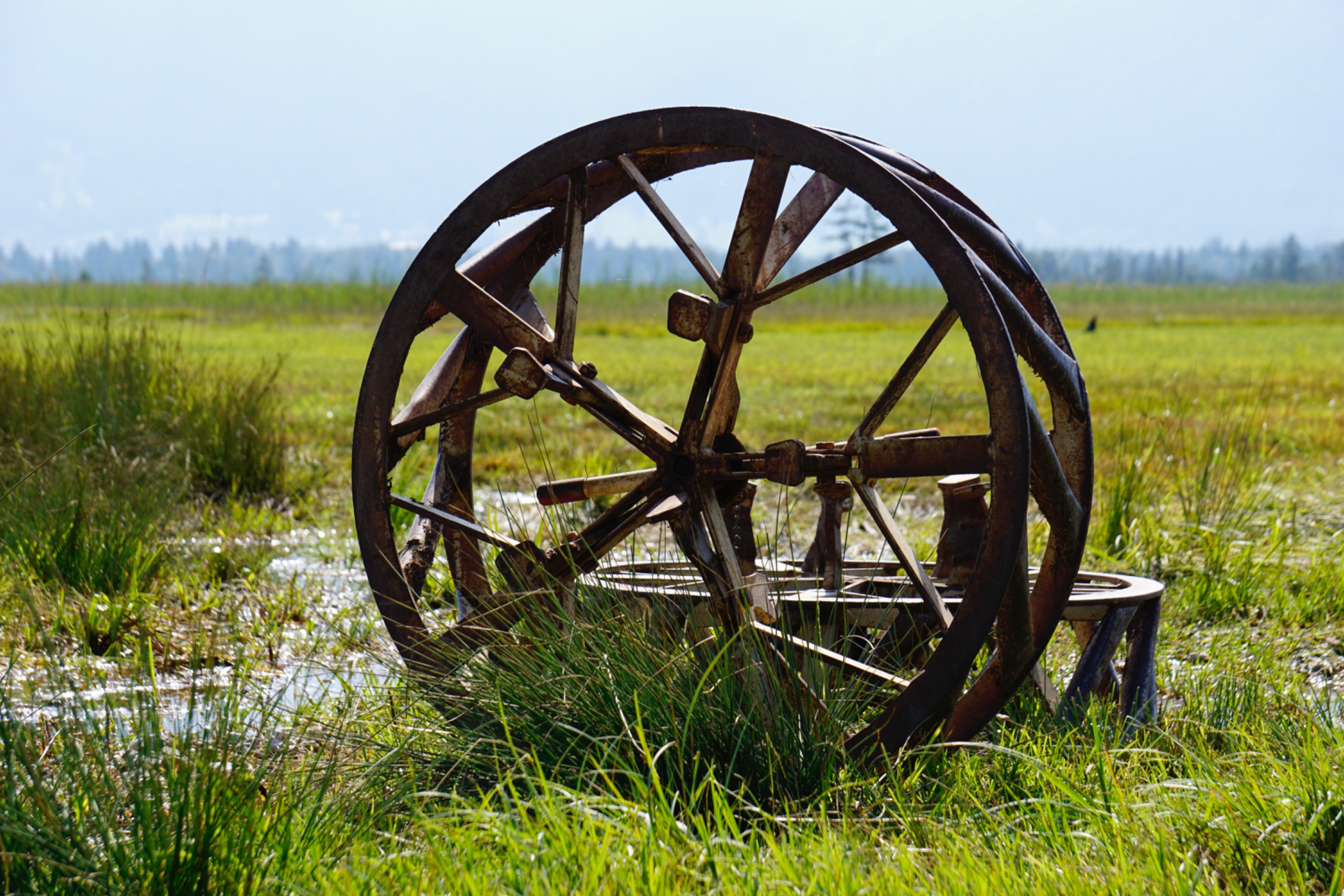 _DSC3487.JPG