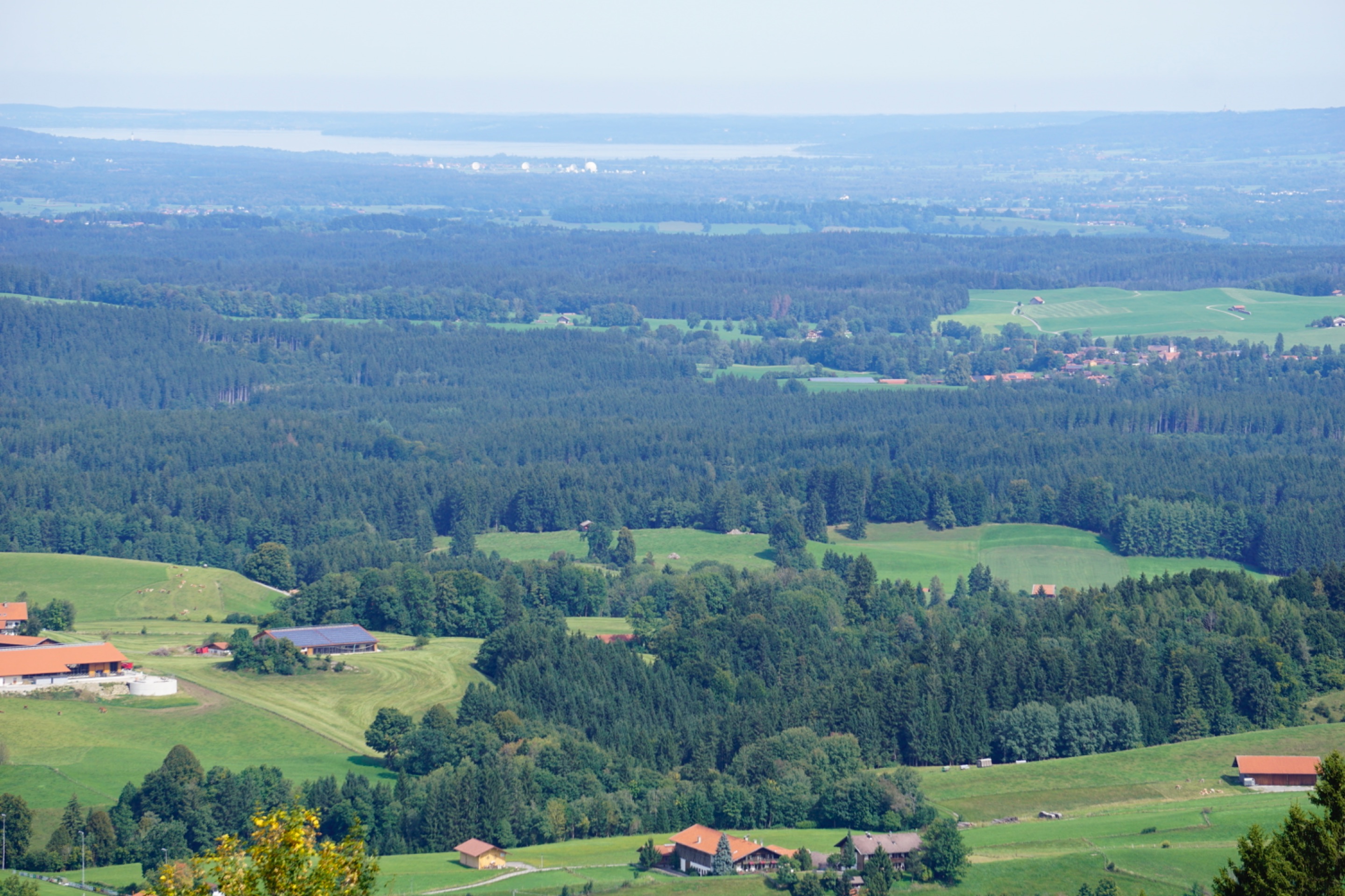 _DSC3664.JPG