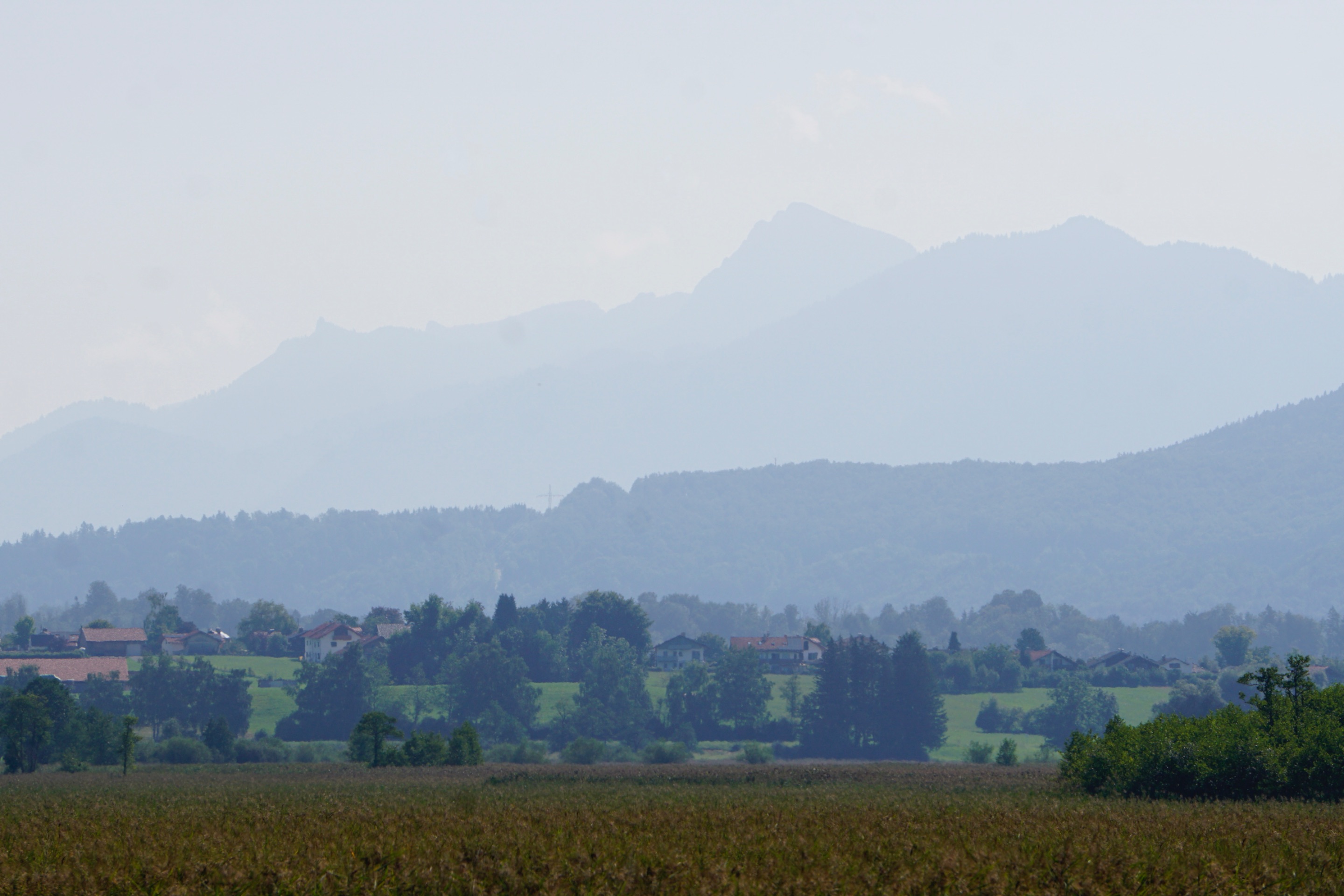 _DSC3457.JPG