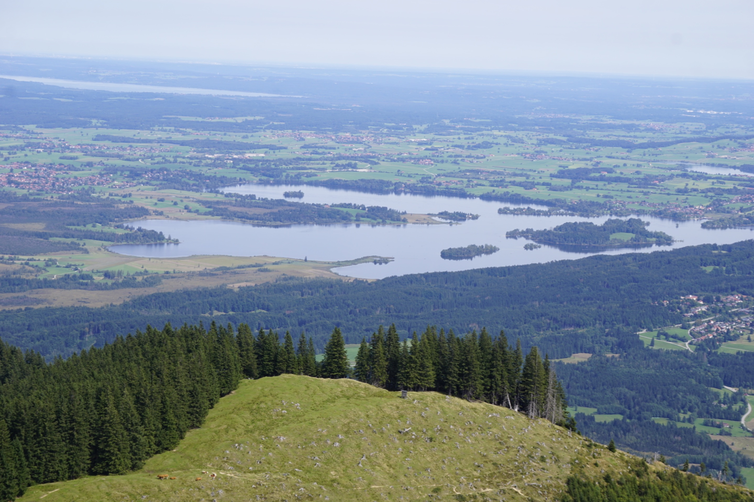 _DSC3698.JPG