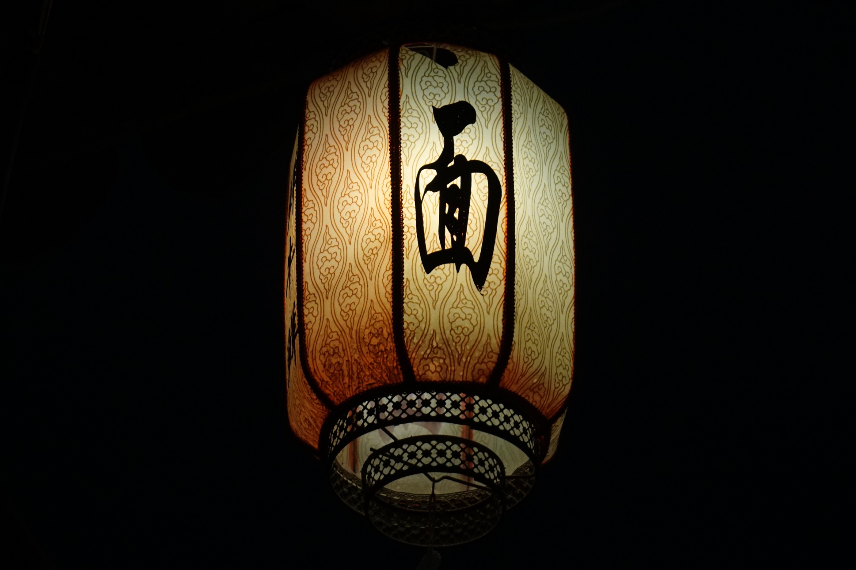 _DSC8244.JPG