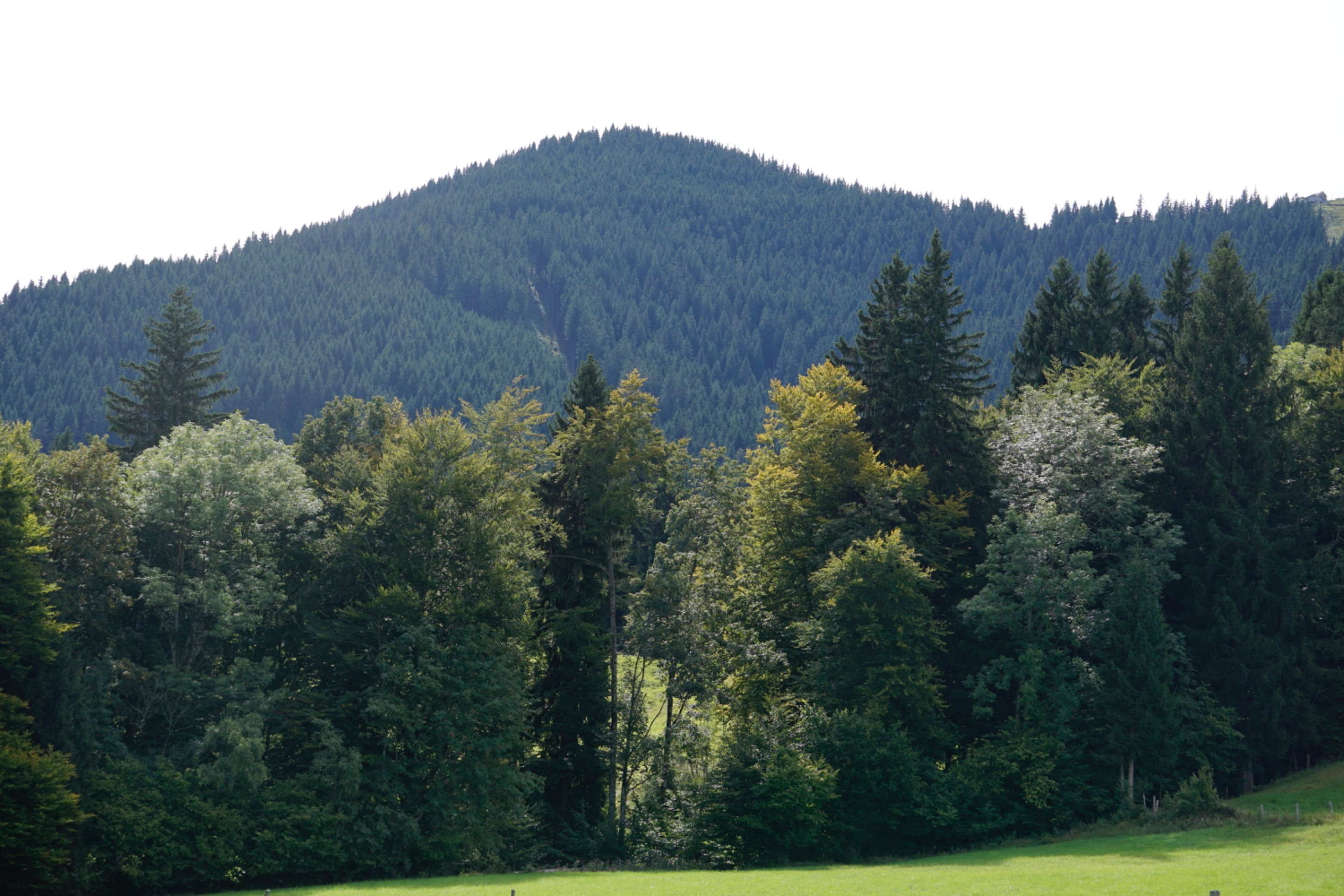 _DSC3657.JPG