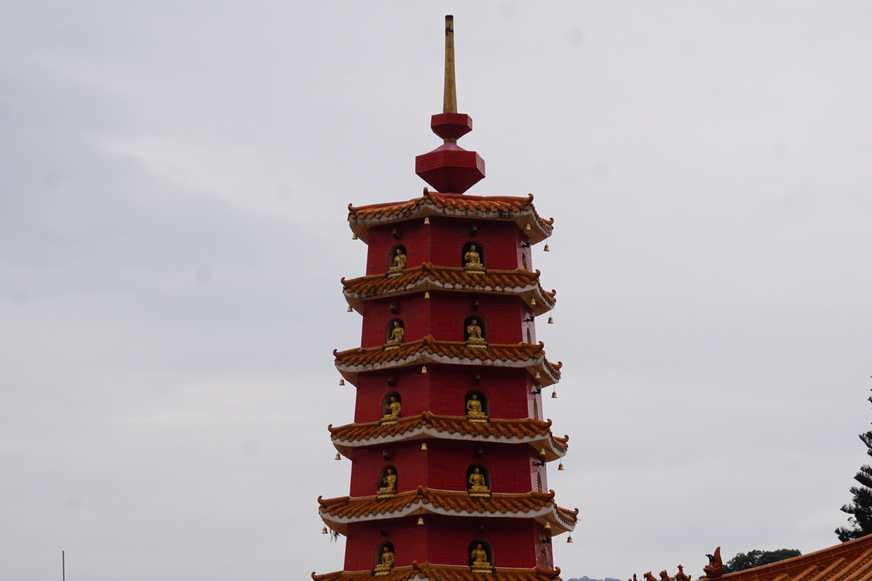 _DSC0630.JPG