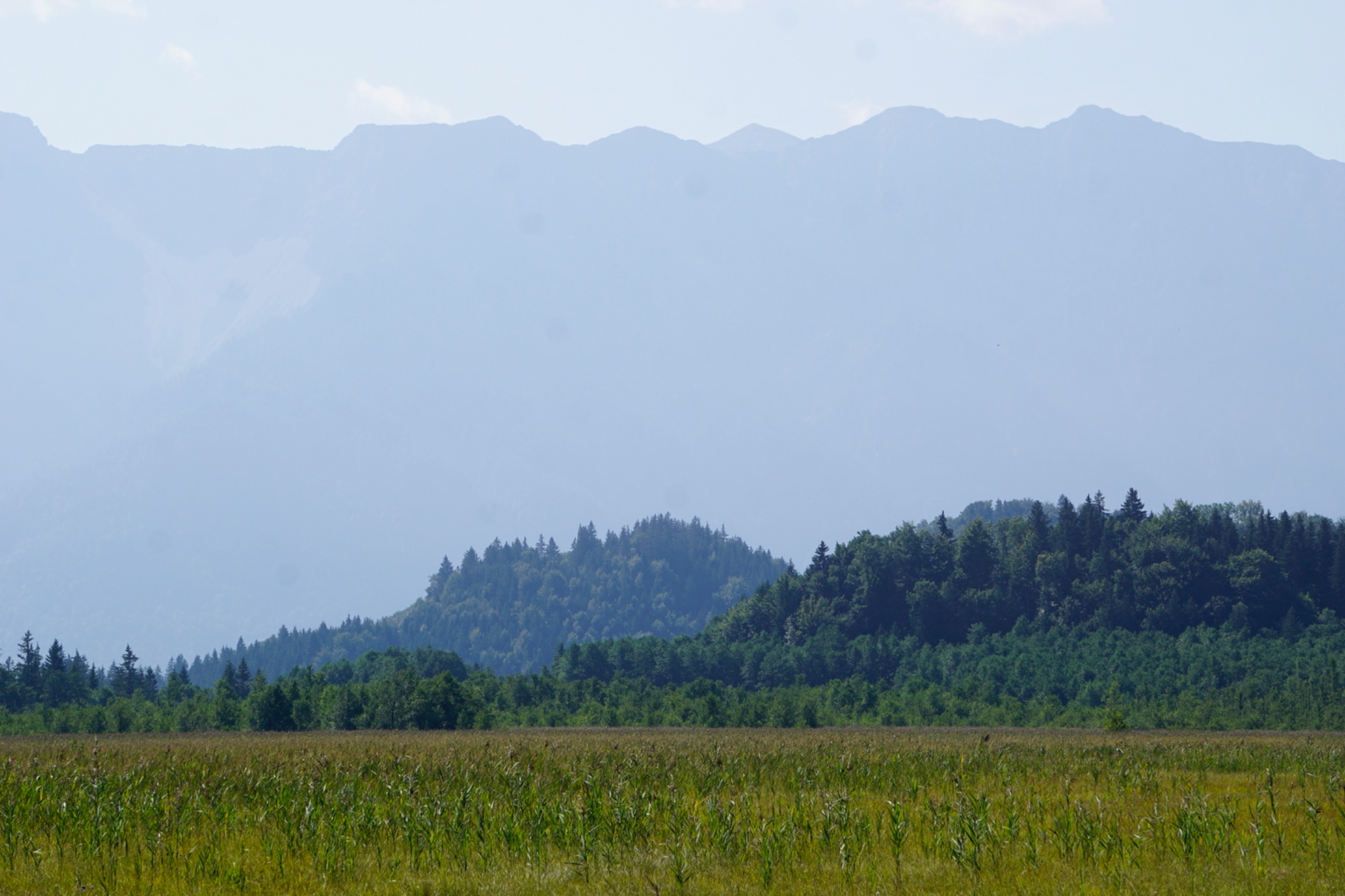 _DSC3514.JPG