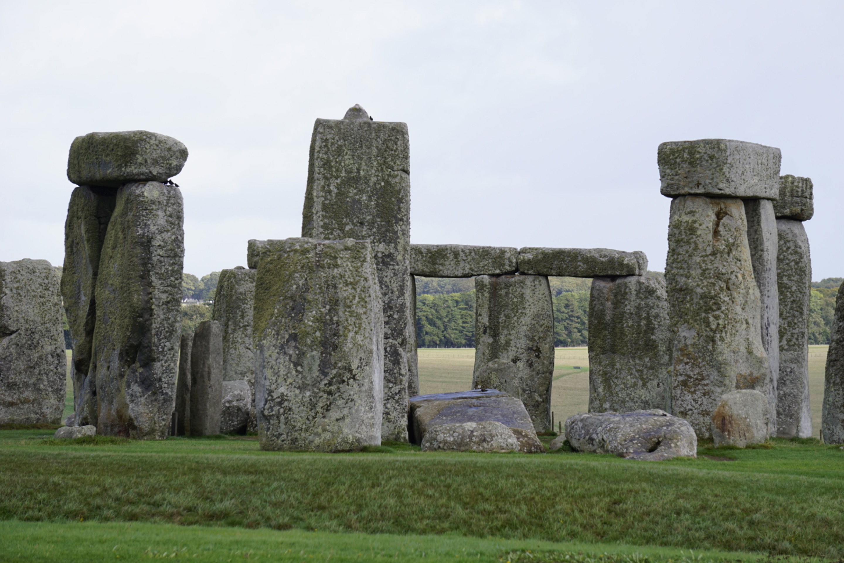 _DSC5132.JPG