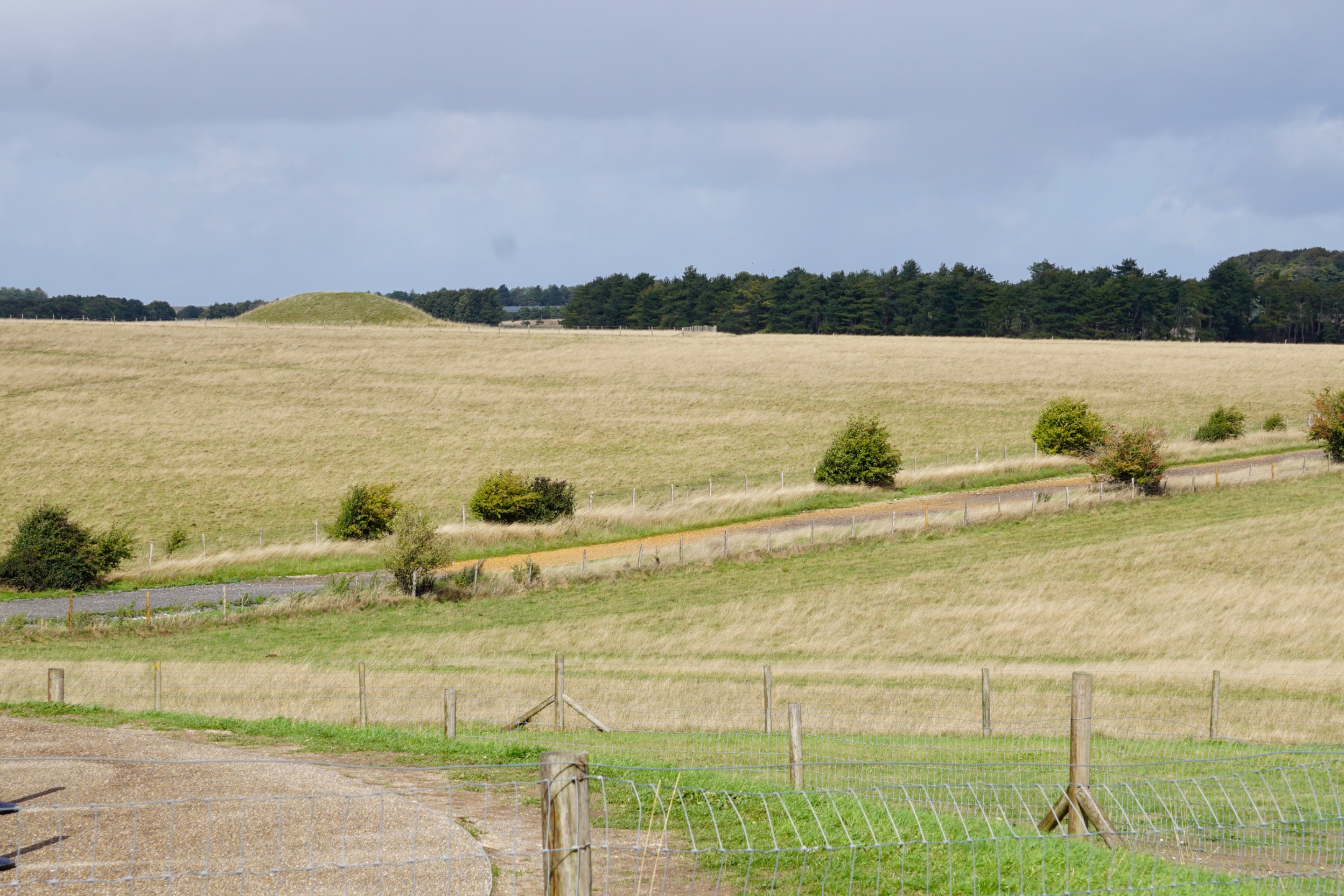 _DSC5166.JPG