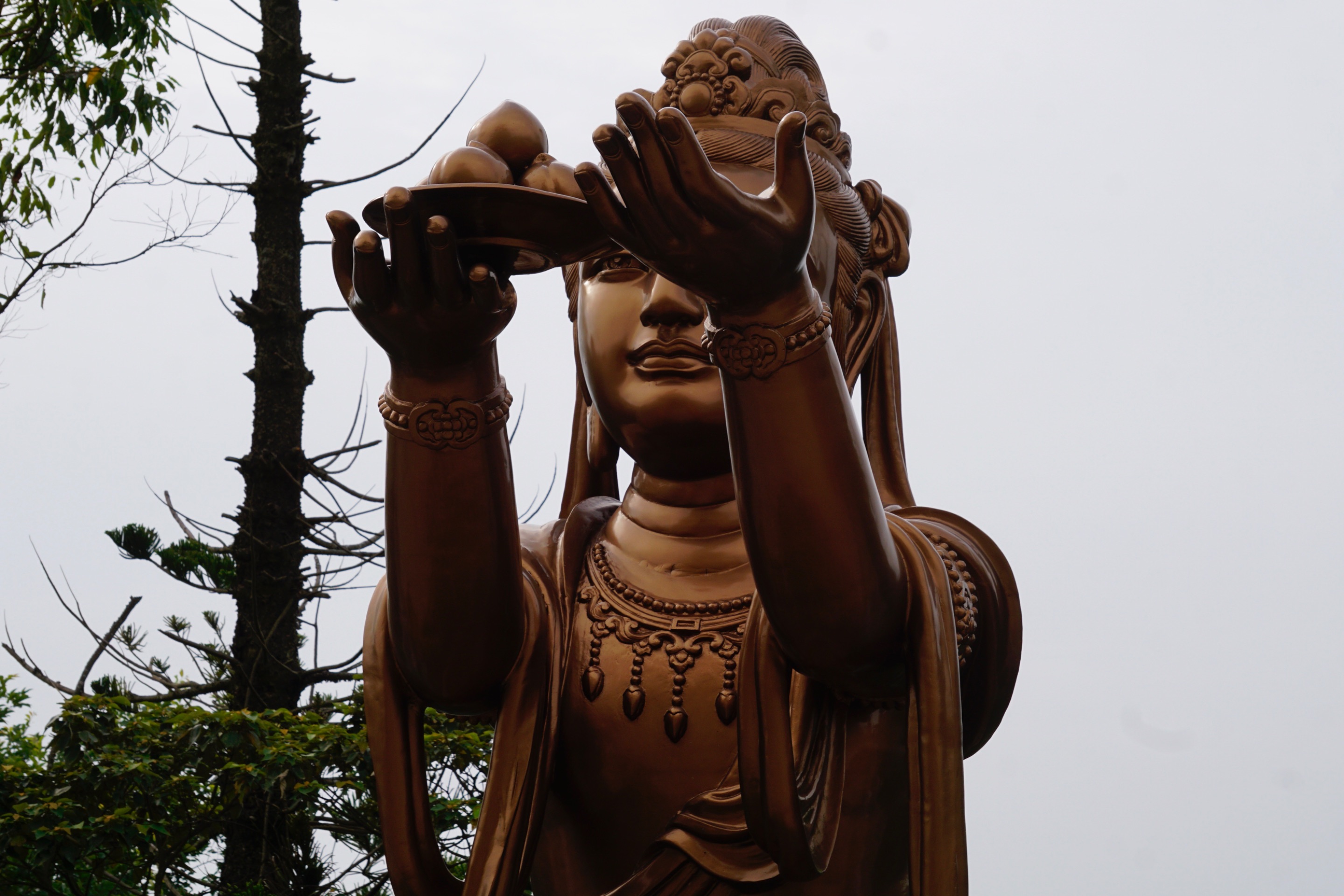 _DSC0870.JPG