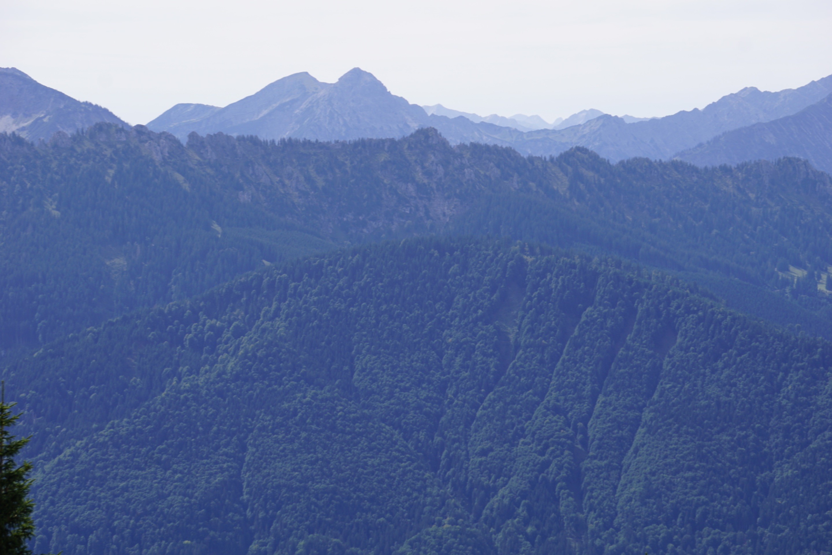 _DSC3677.JPG