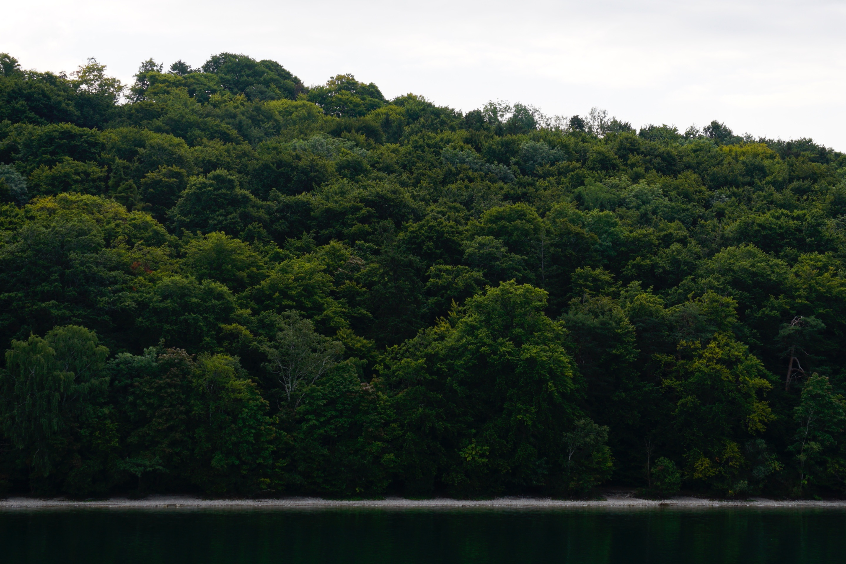 _DSC3582.JPG