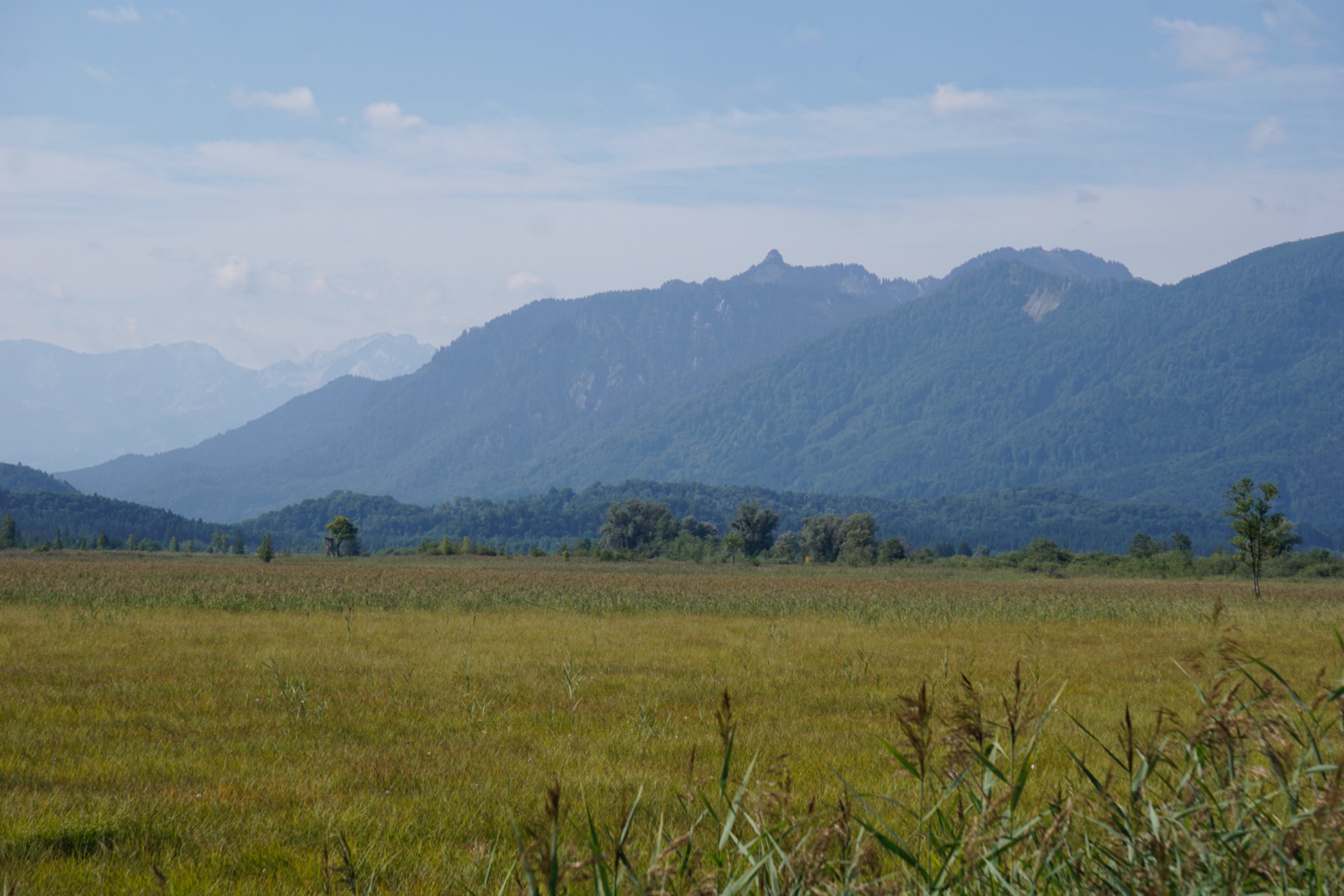 _DSC3448.JPG
