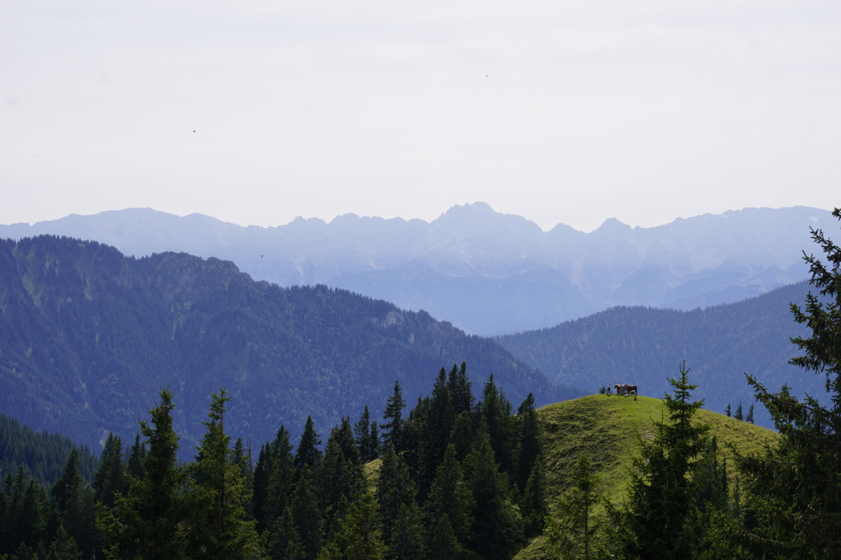 _DSC3711.JPG