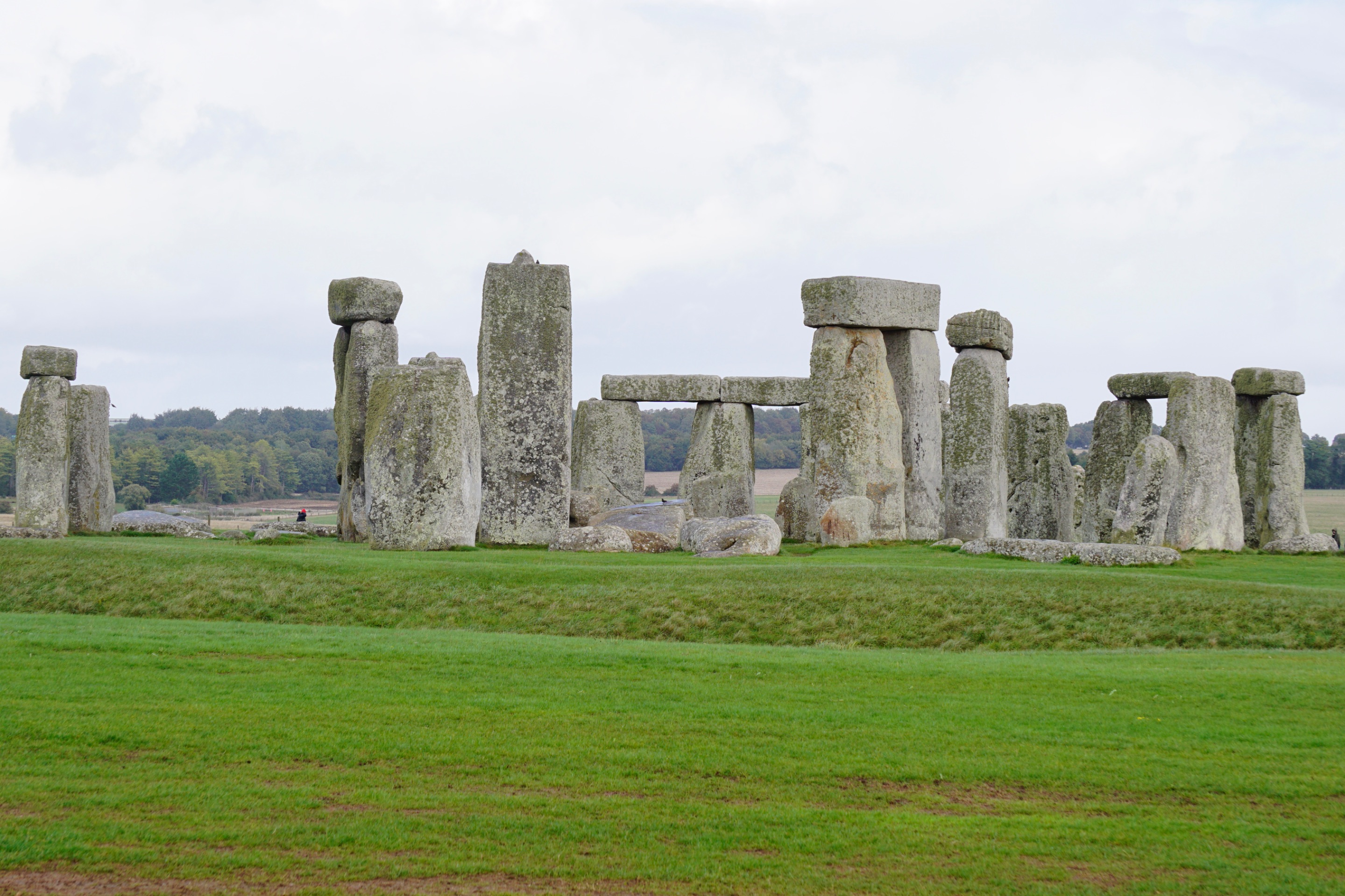 _DSC5148.JPG