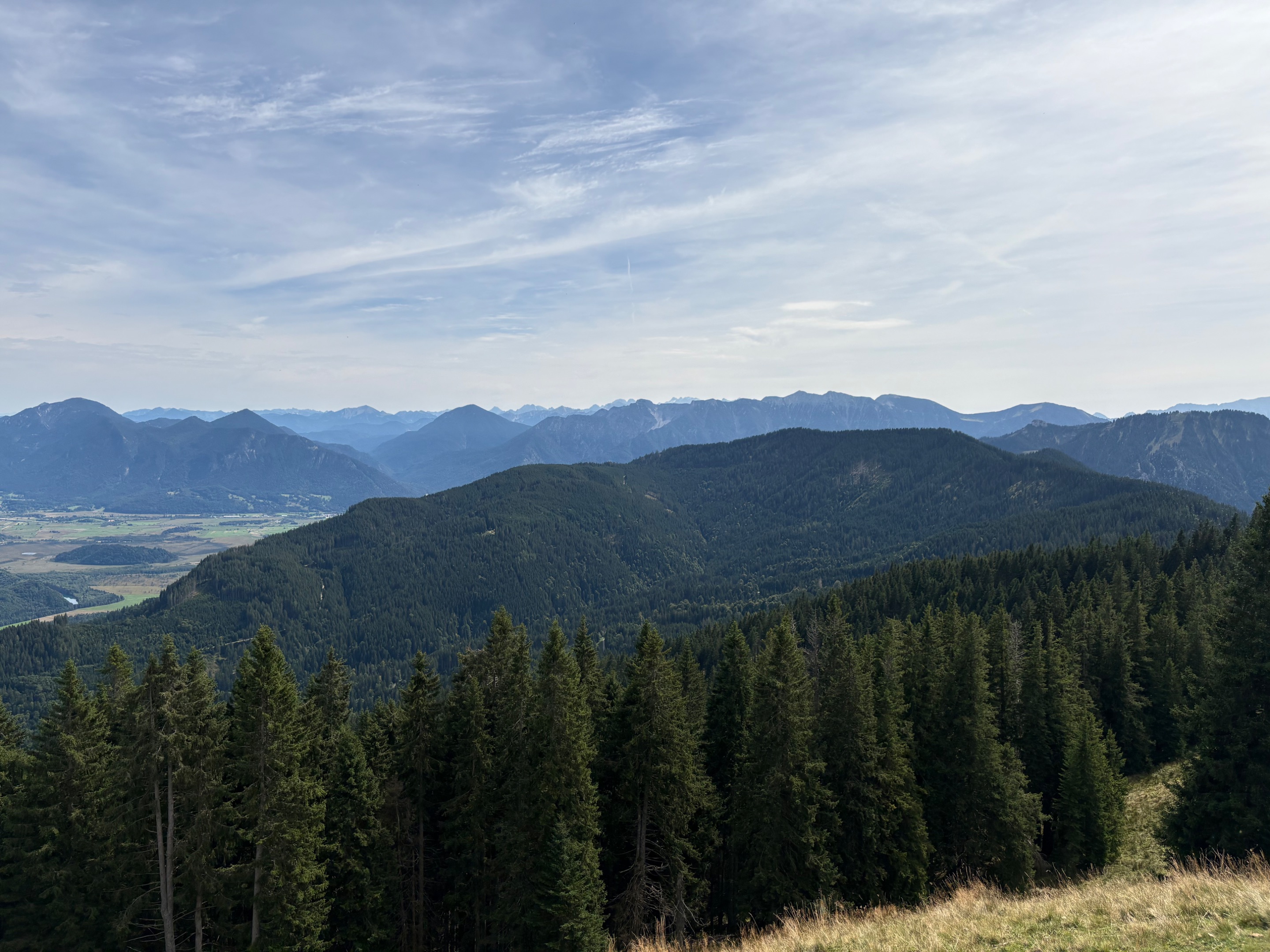 IMG_9733.jpeg