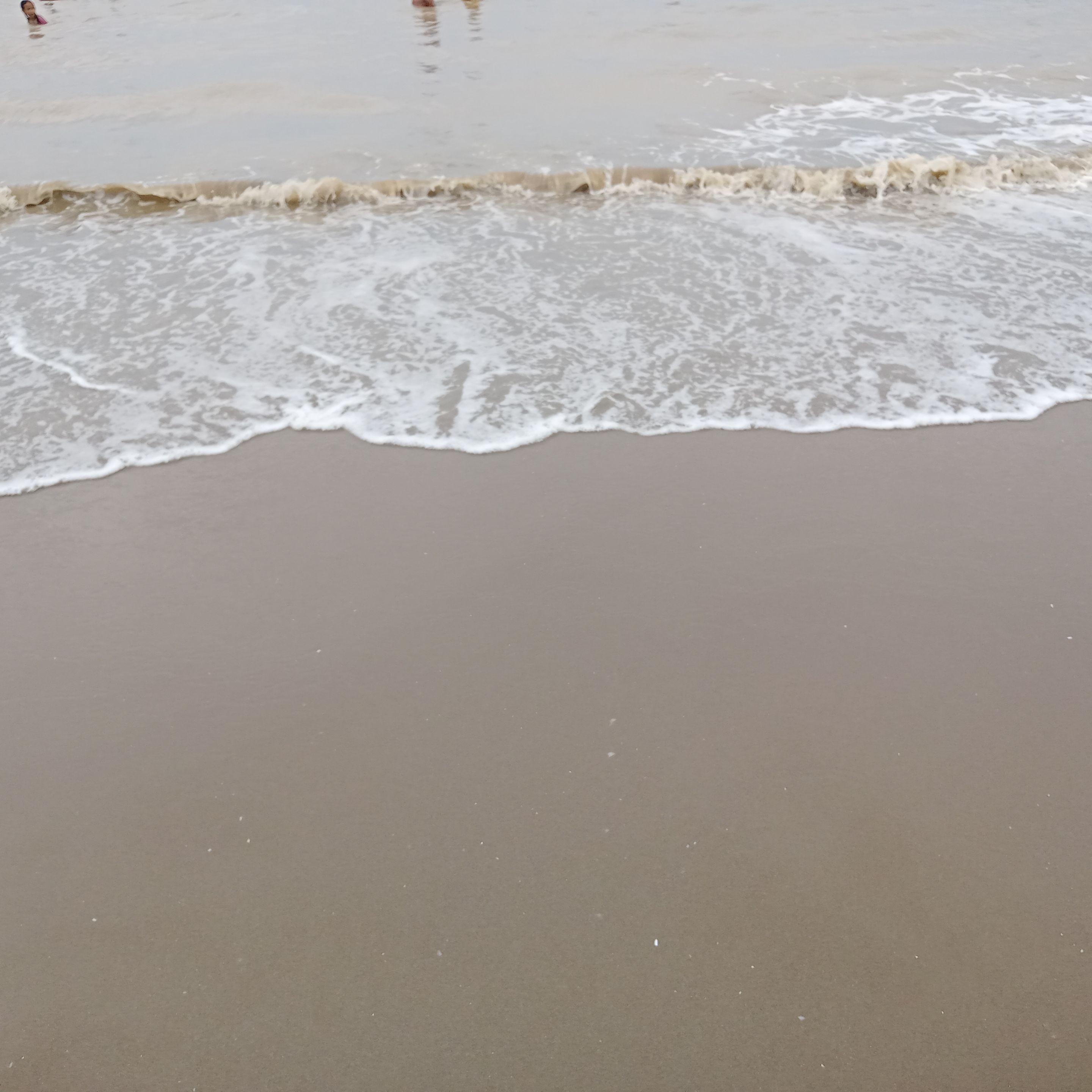 IMG20230910141513.jpg