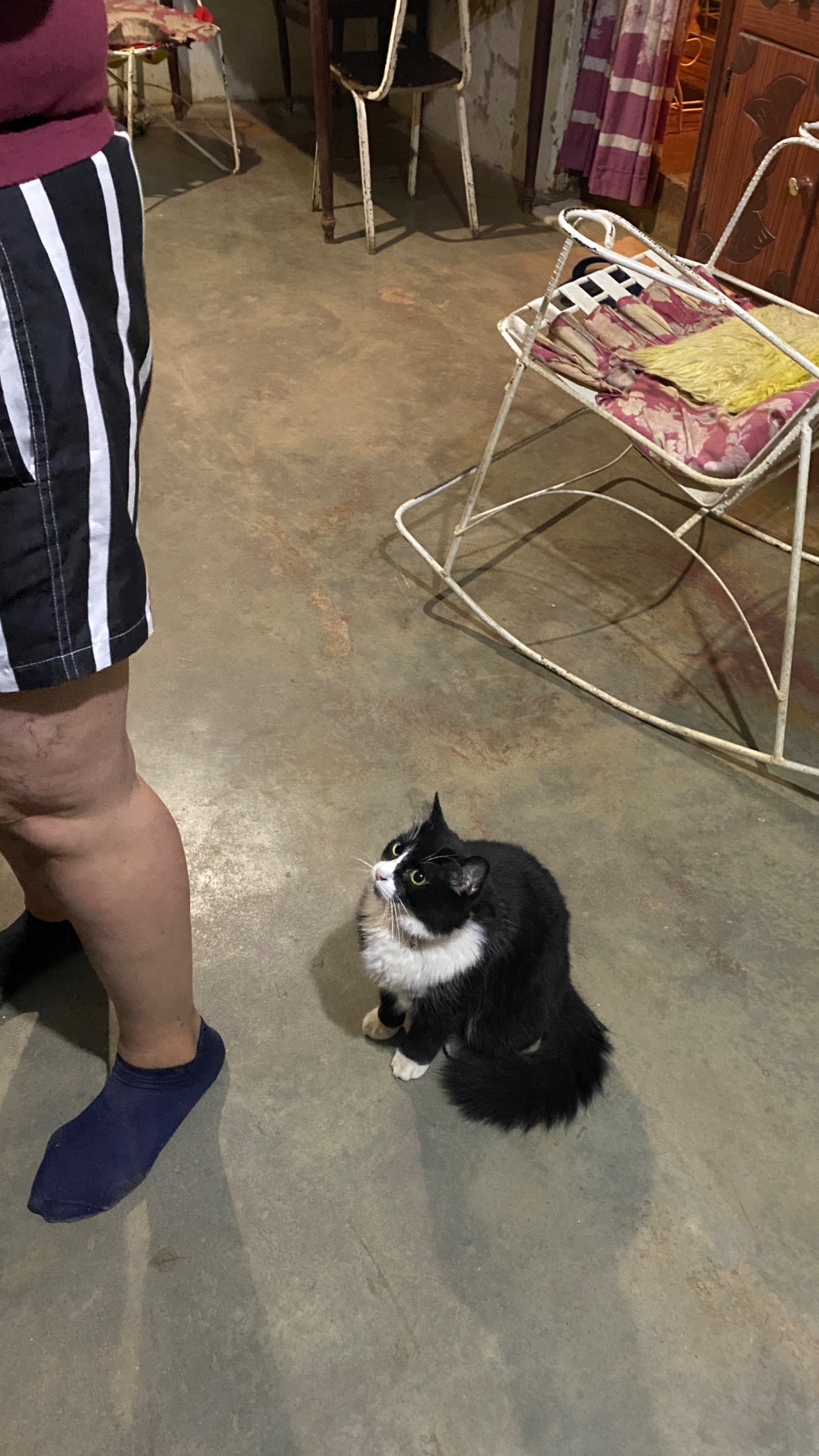 IMG_1638.jpeg