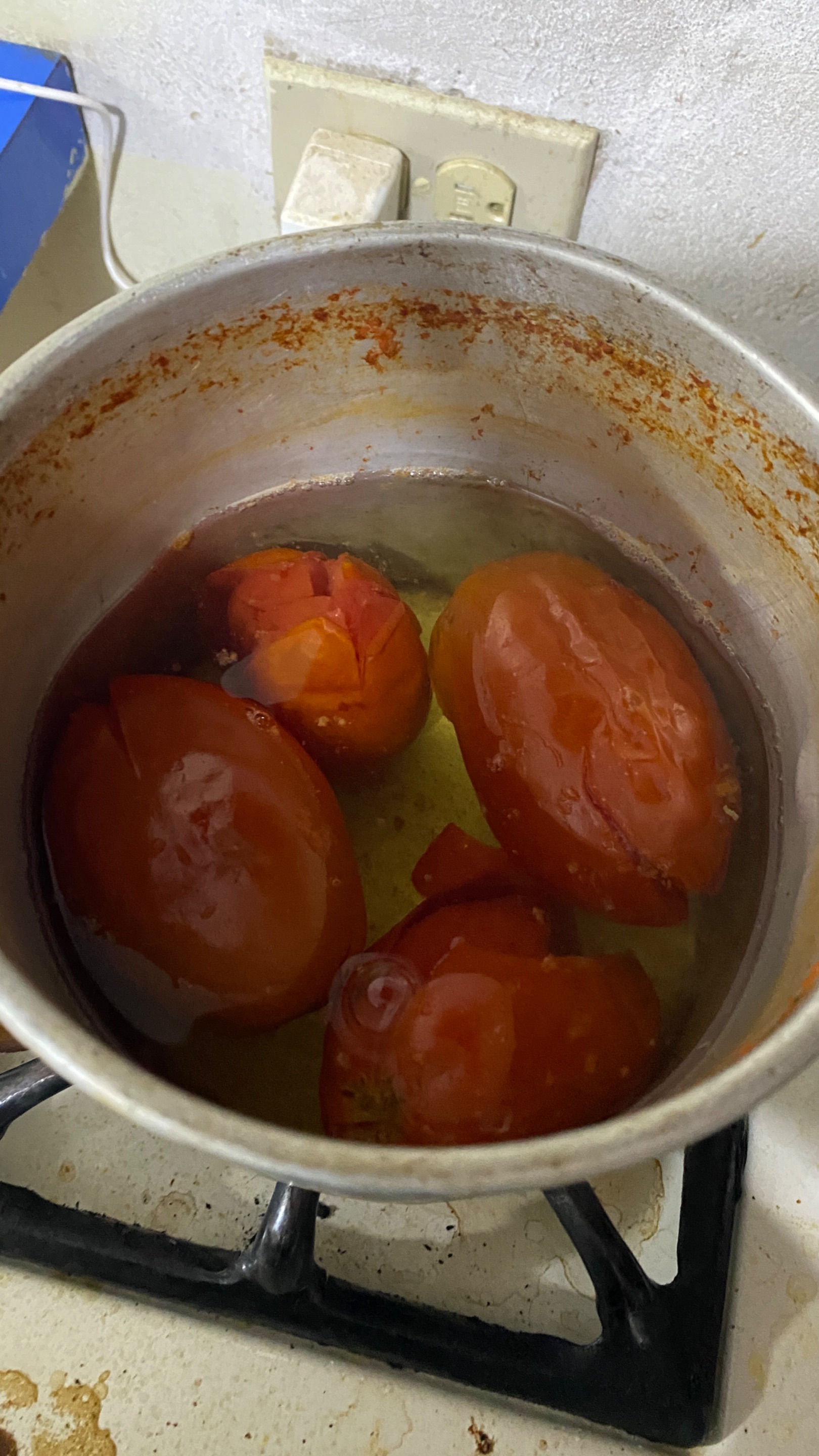 IMG_1798.jpeg