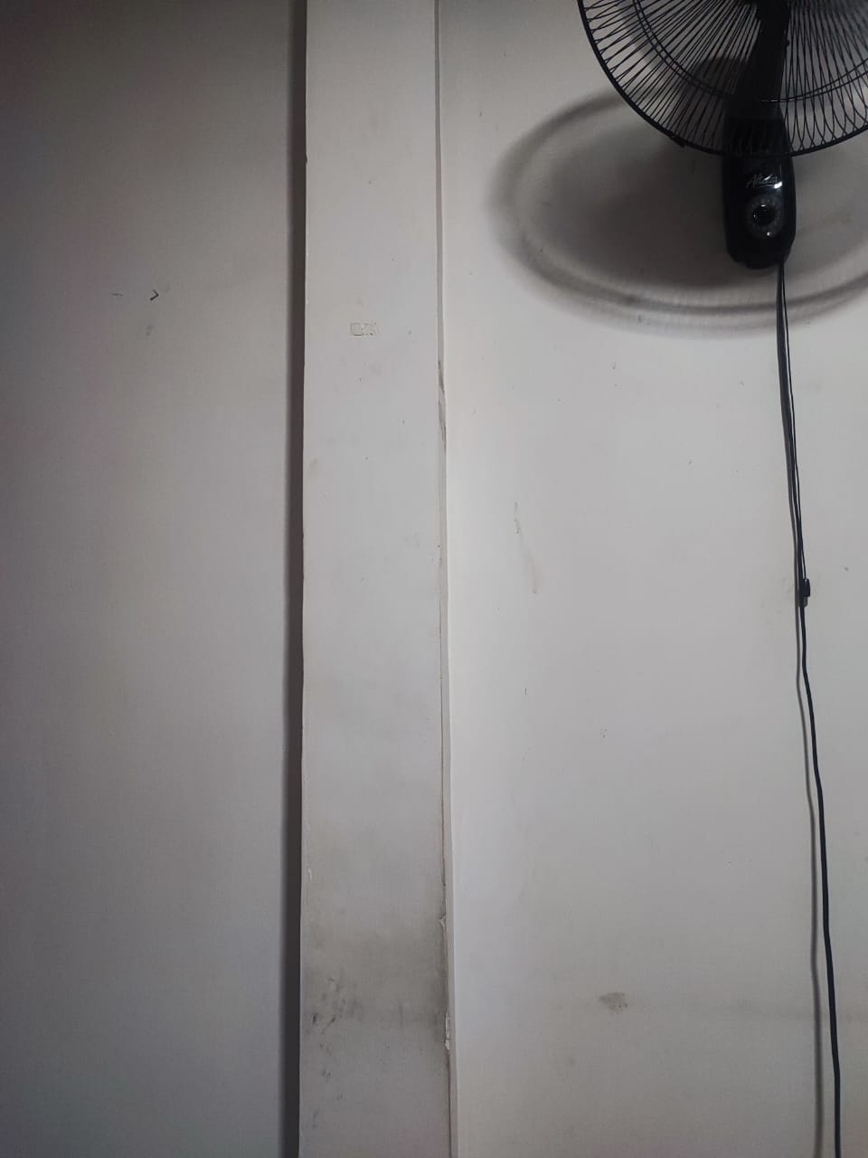 1009262071.jpg